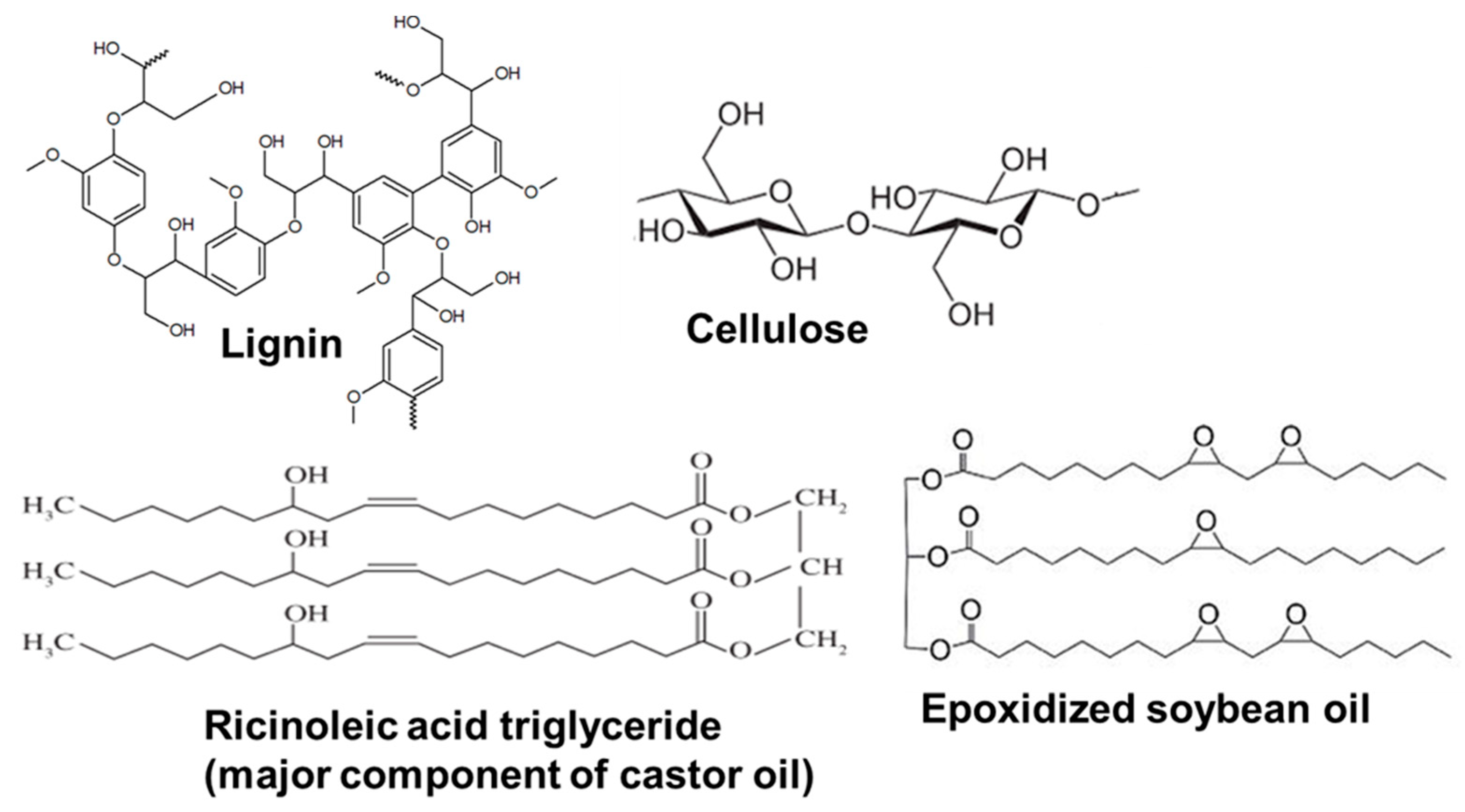 Fibers 13 00045 g001