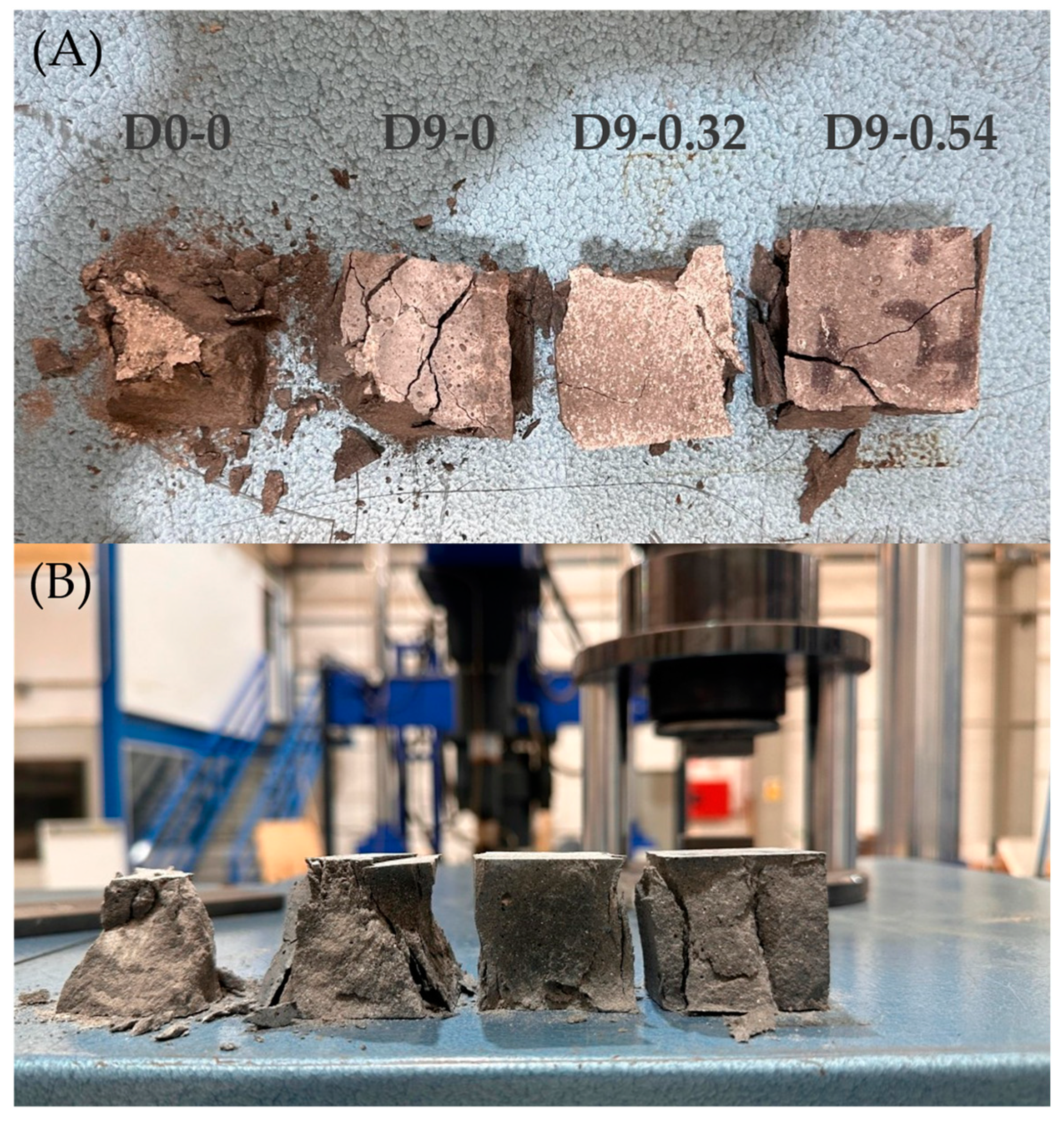 Fibers 13 00049 g012