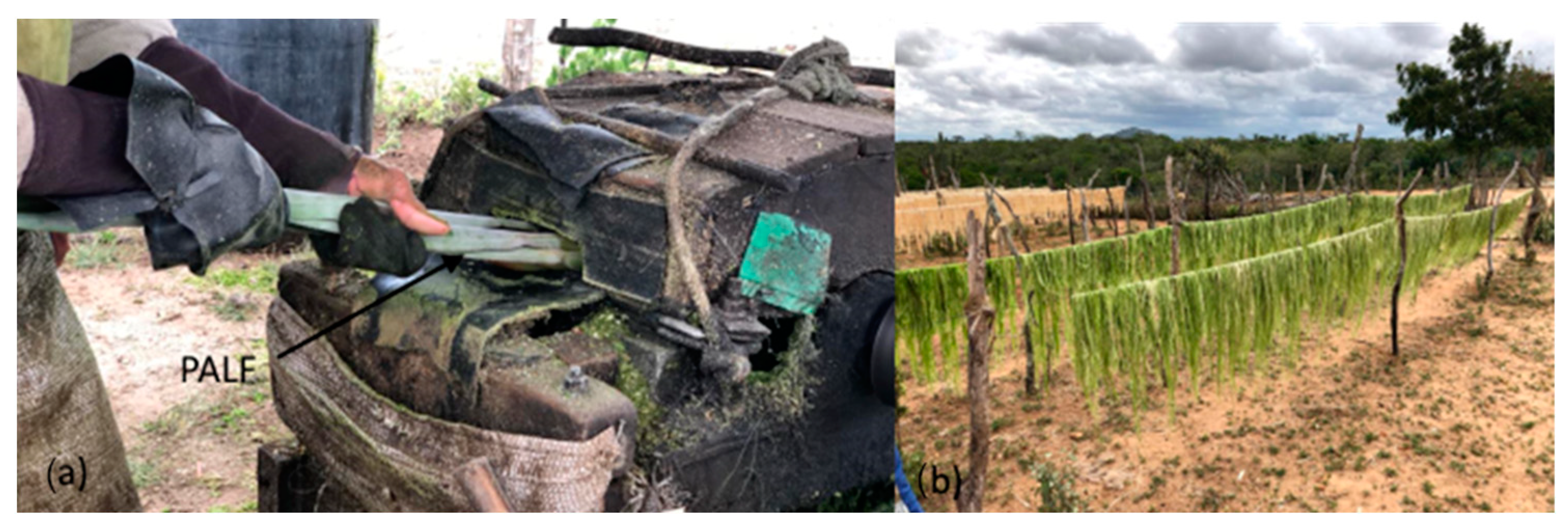 Fibers 13 00051 g002