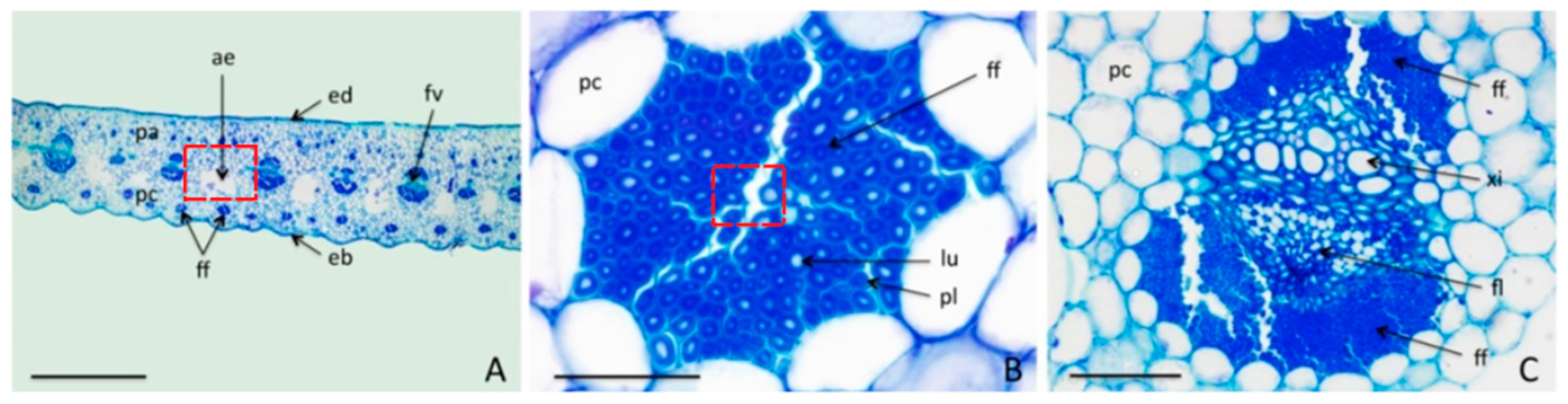 Fibers 13 00051 g004