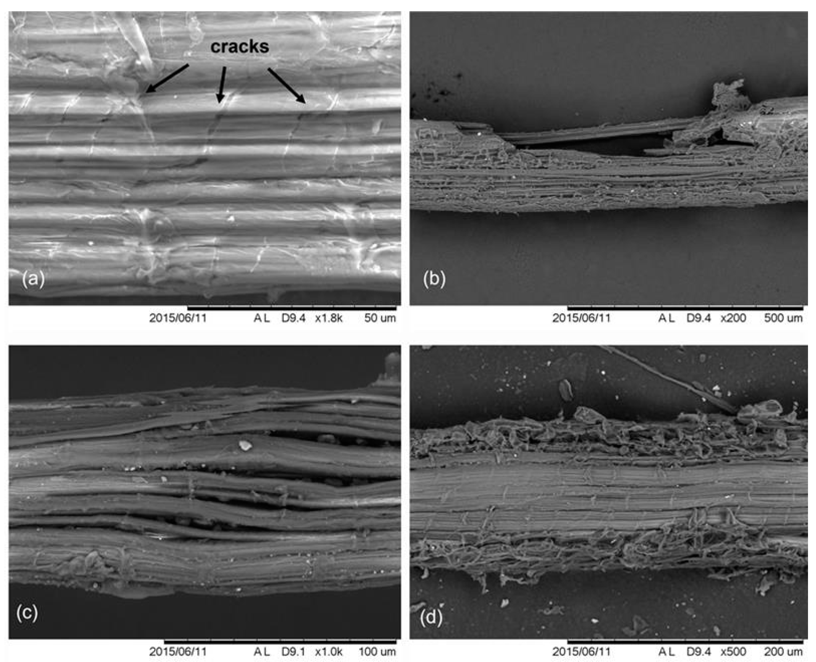 Fibers 13 00051 g006