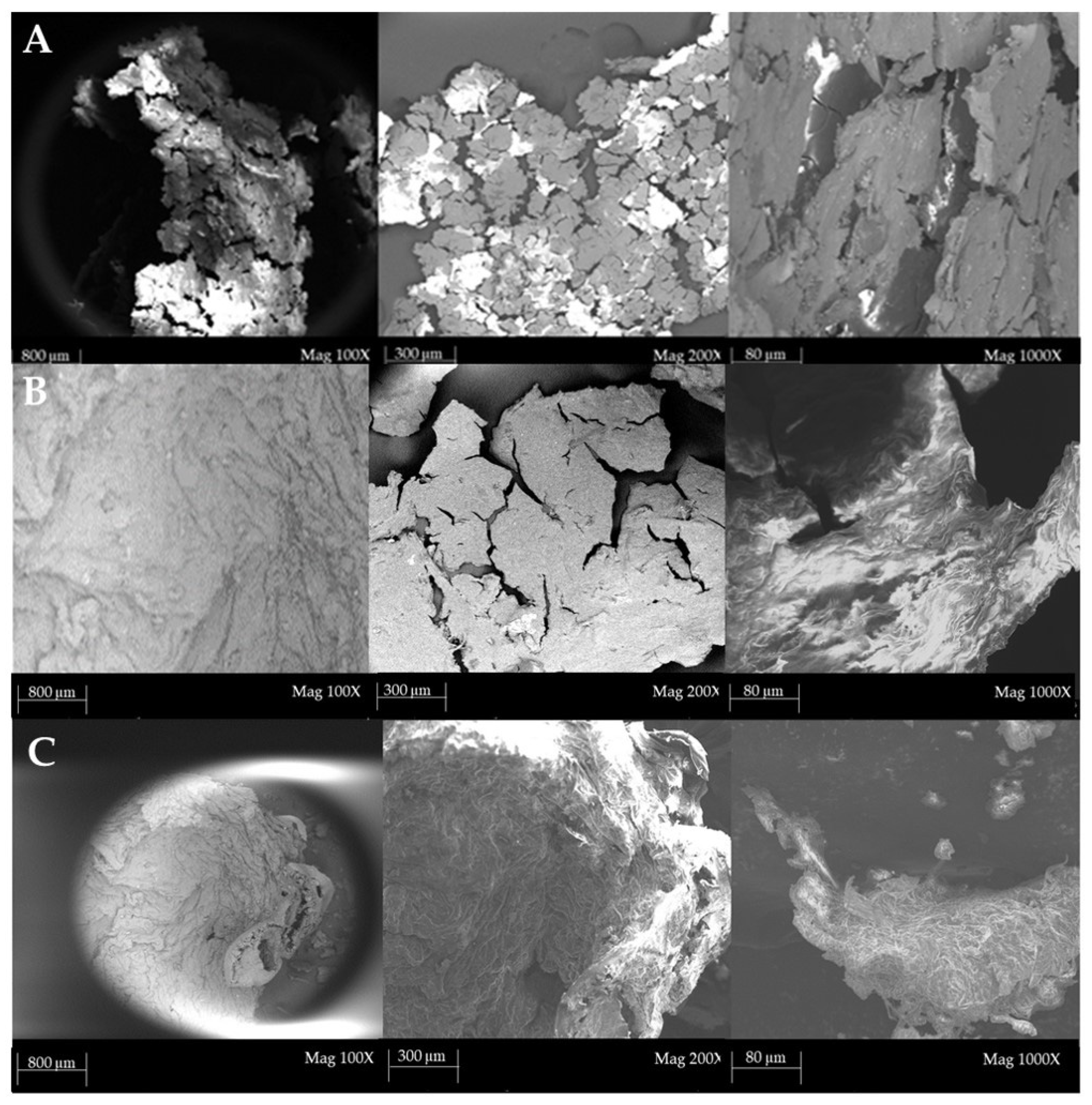 Fibers 13 00054 g006 Fibers 13 00054 g006