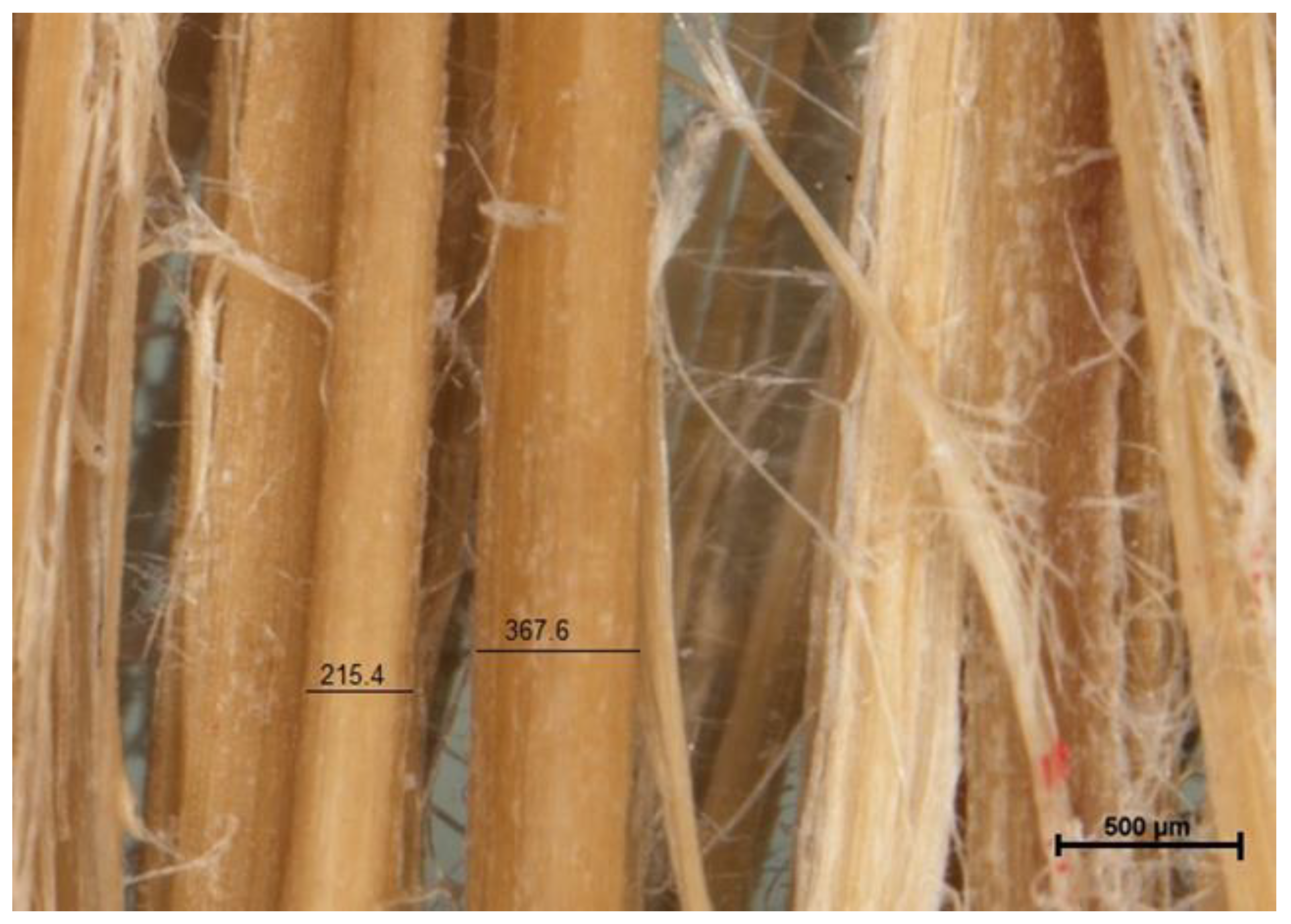 Fibers 13 00057 g001