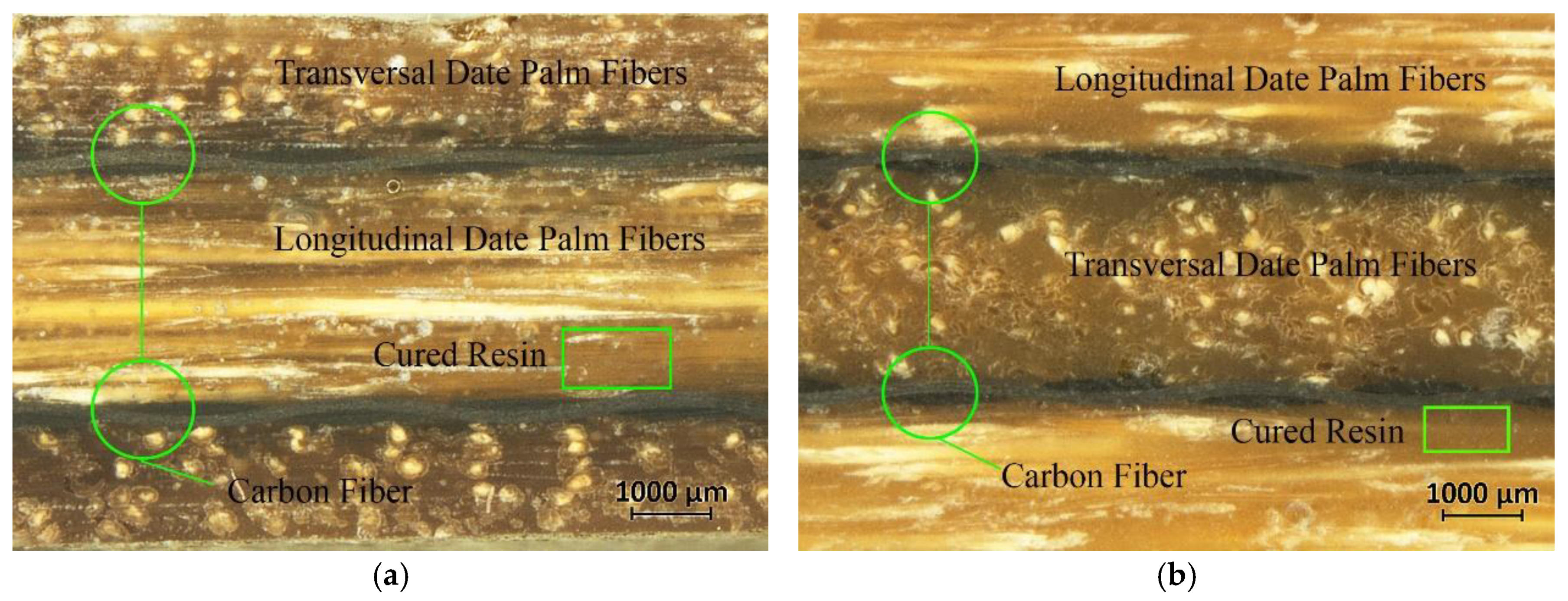 Fibers 13 00057 g007