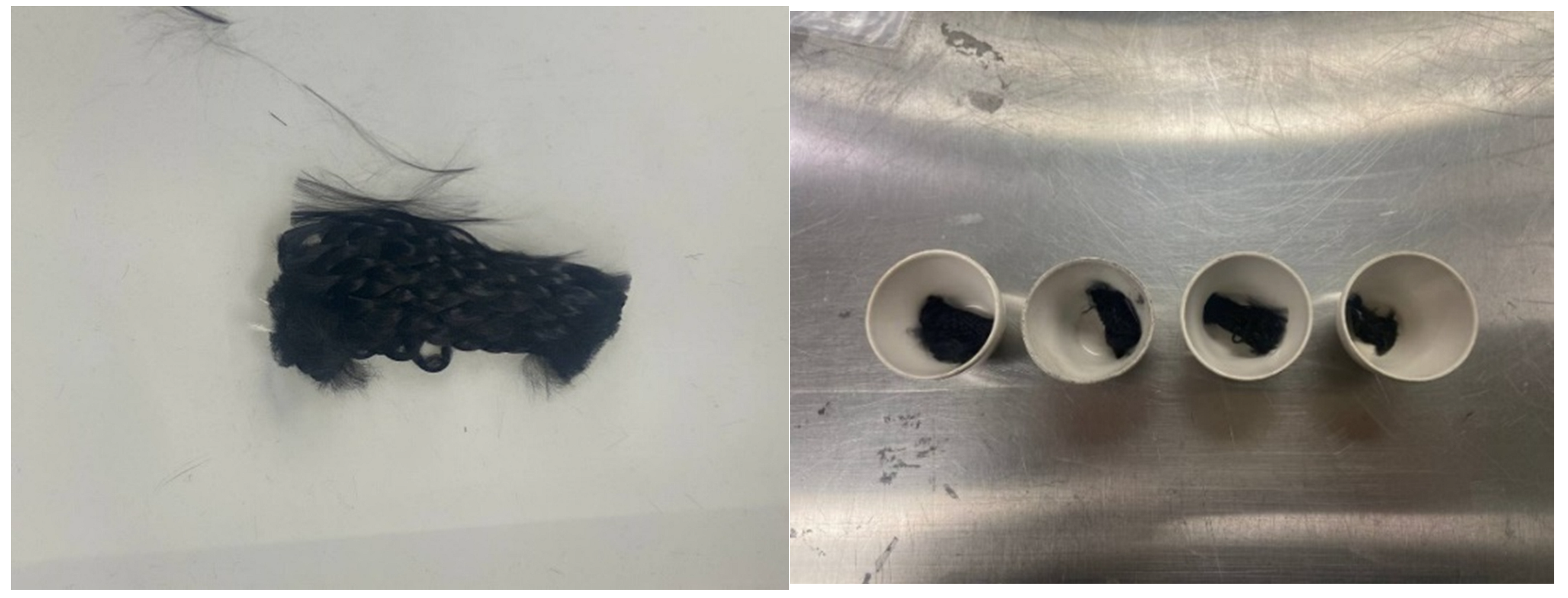 Fibers 13 00058 g003 Fibers 13 00058 g003