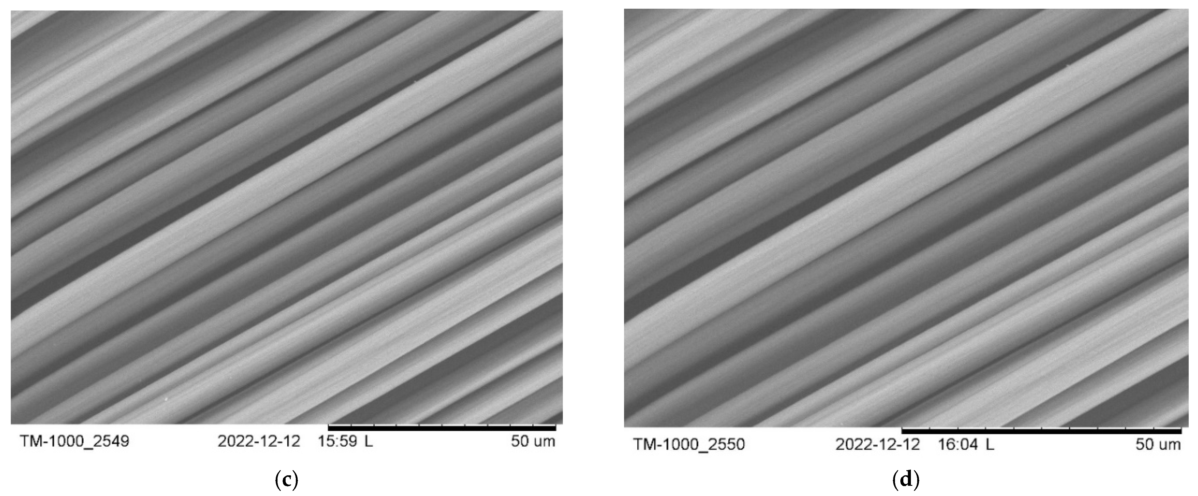 Fibers 13 00058 g008b Fibers 13 00058 g008b