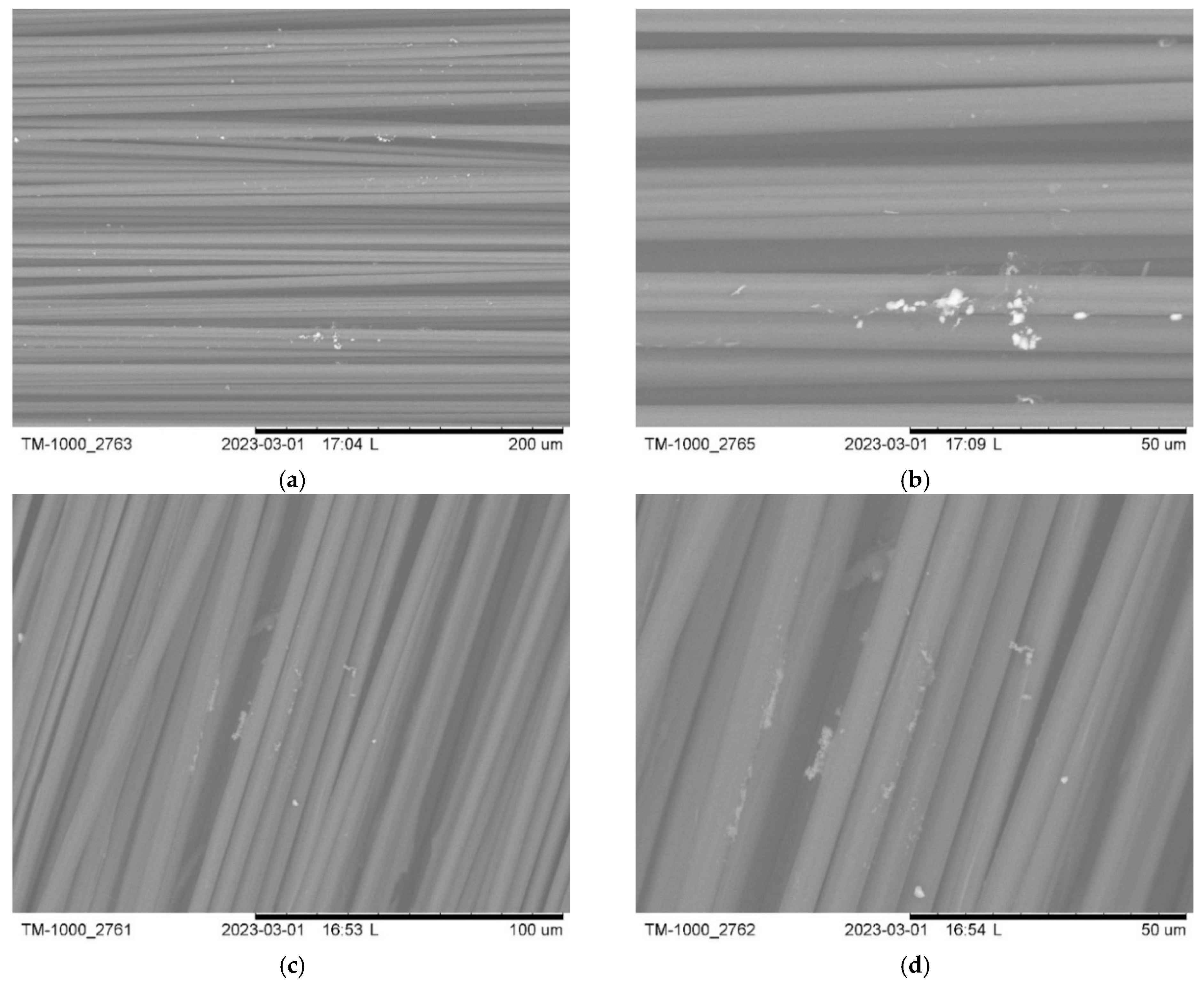 Fibers 13 00058 g009 Fibers 13 00058 g009