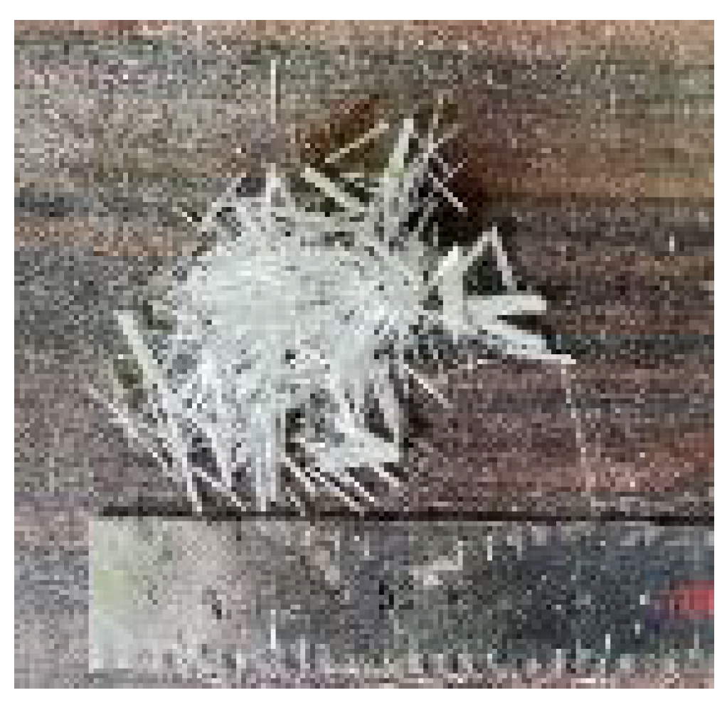 Fibers 13 00060 g003