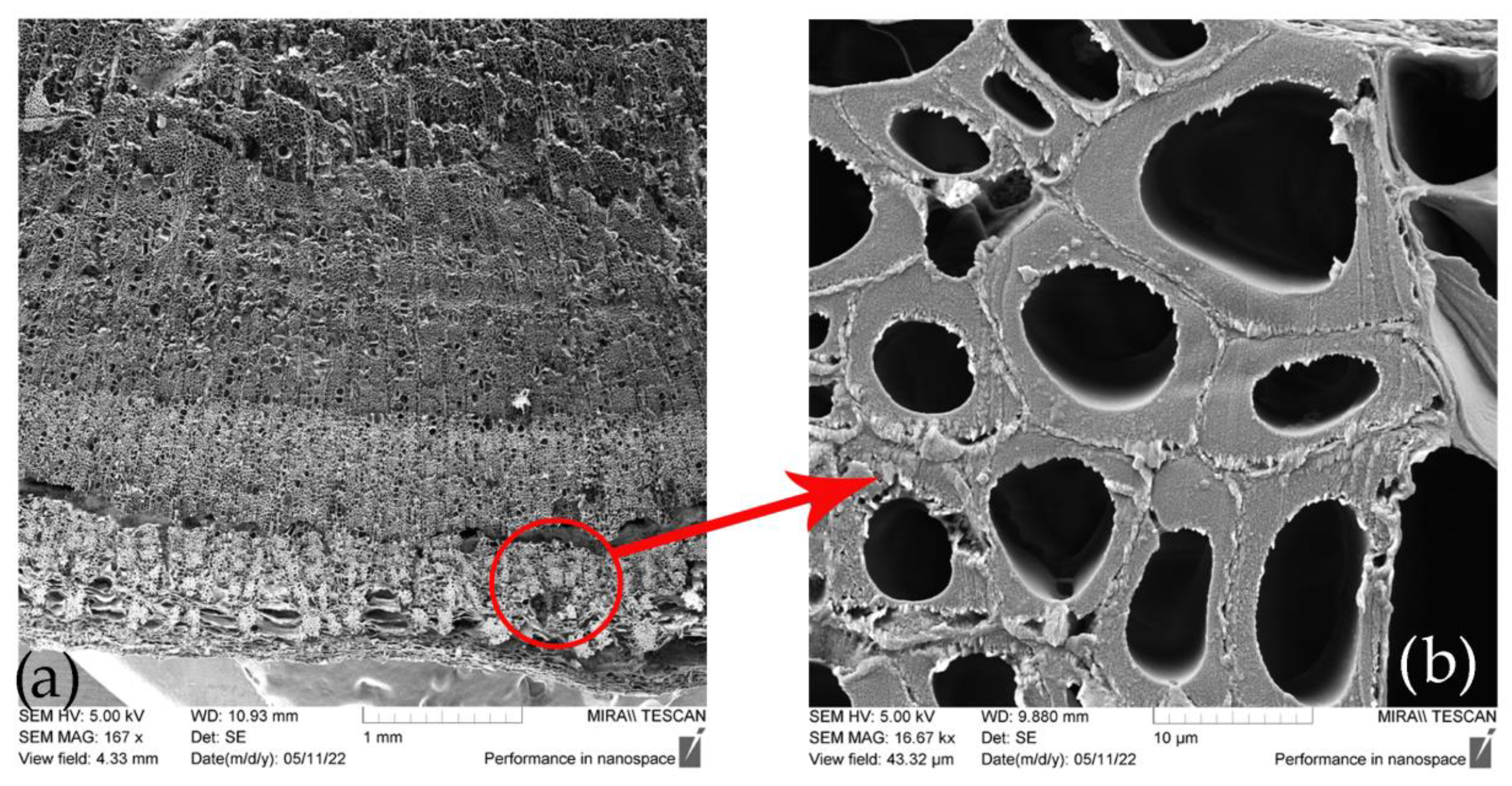 Fibers 13 00063 g006