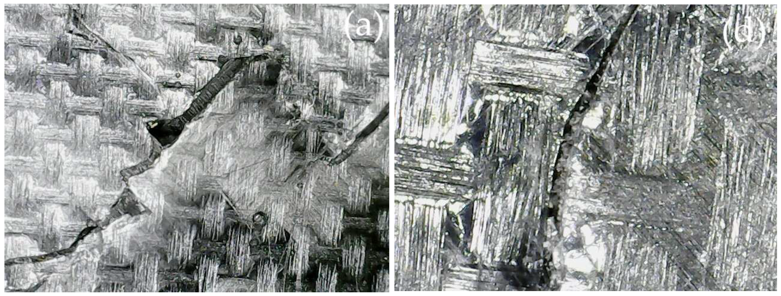 Fibers 13 00067 g009a Fibers 13 00067 g009a