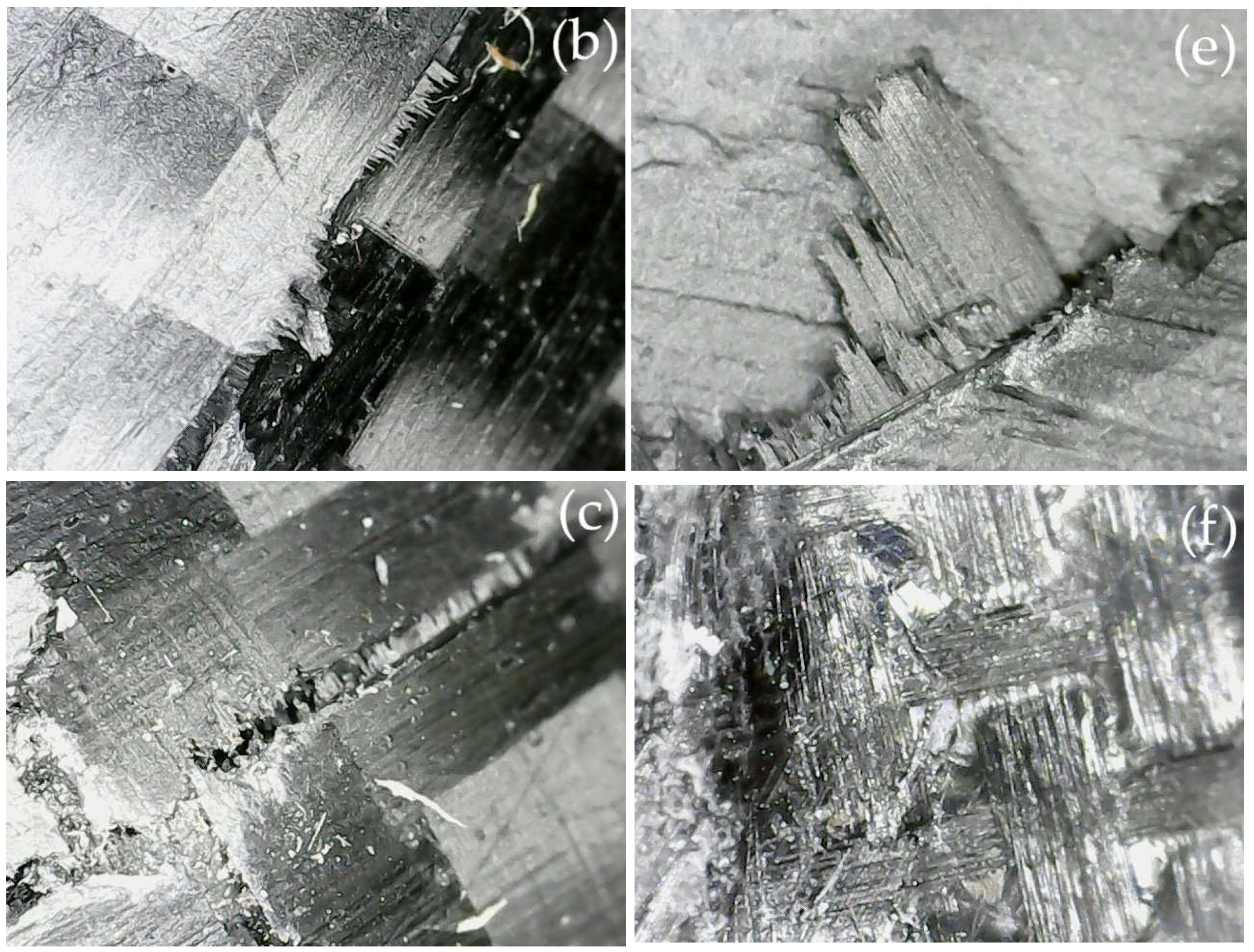 Fibers 13 00067 g009b Fibers 13 00067 g009b