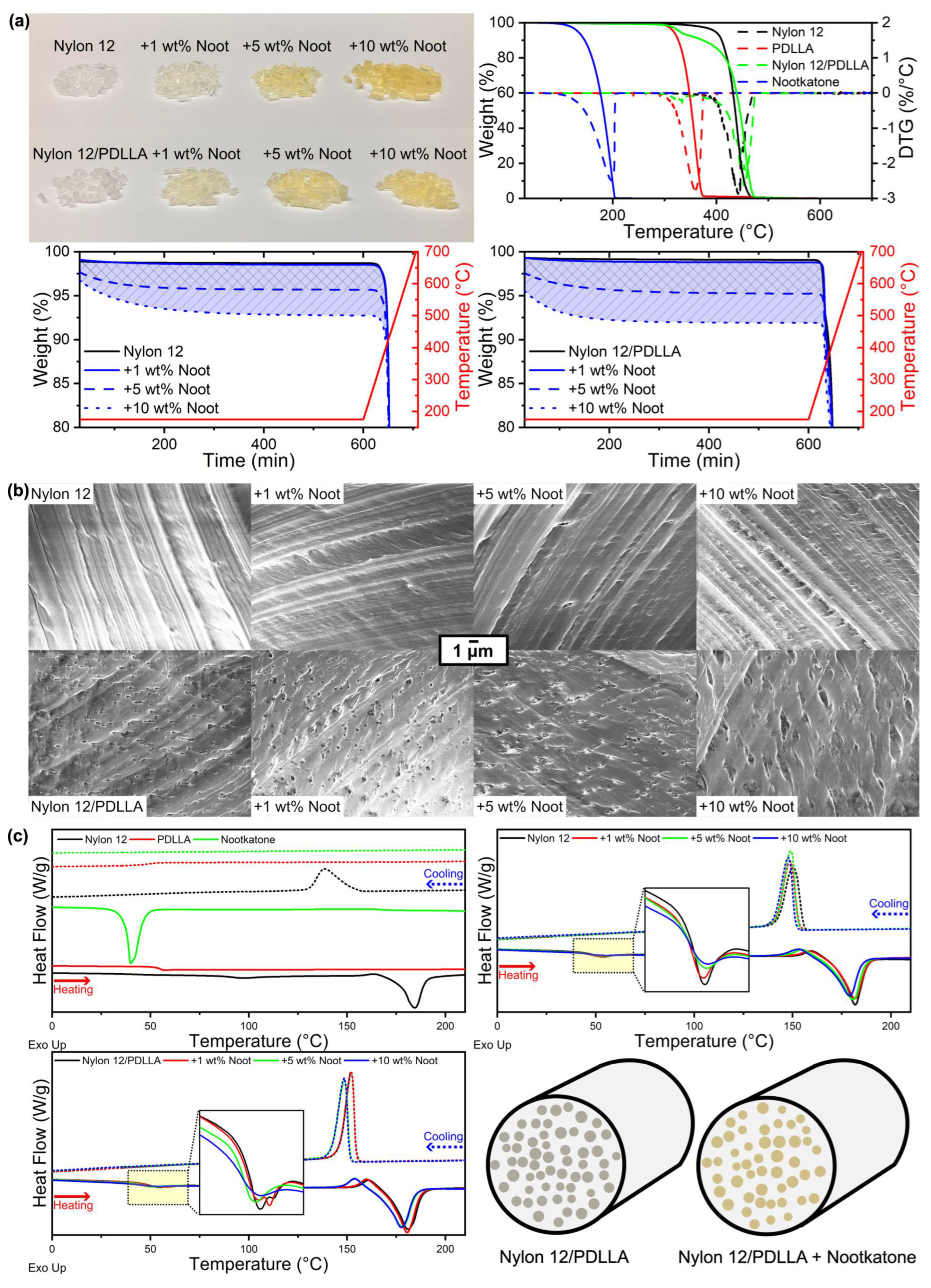 Fibers 13 00074 g001