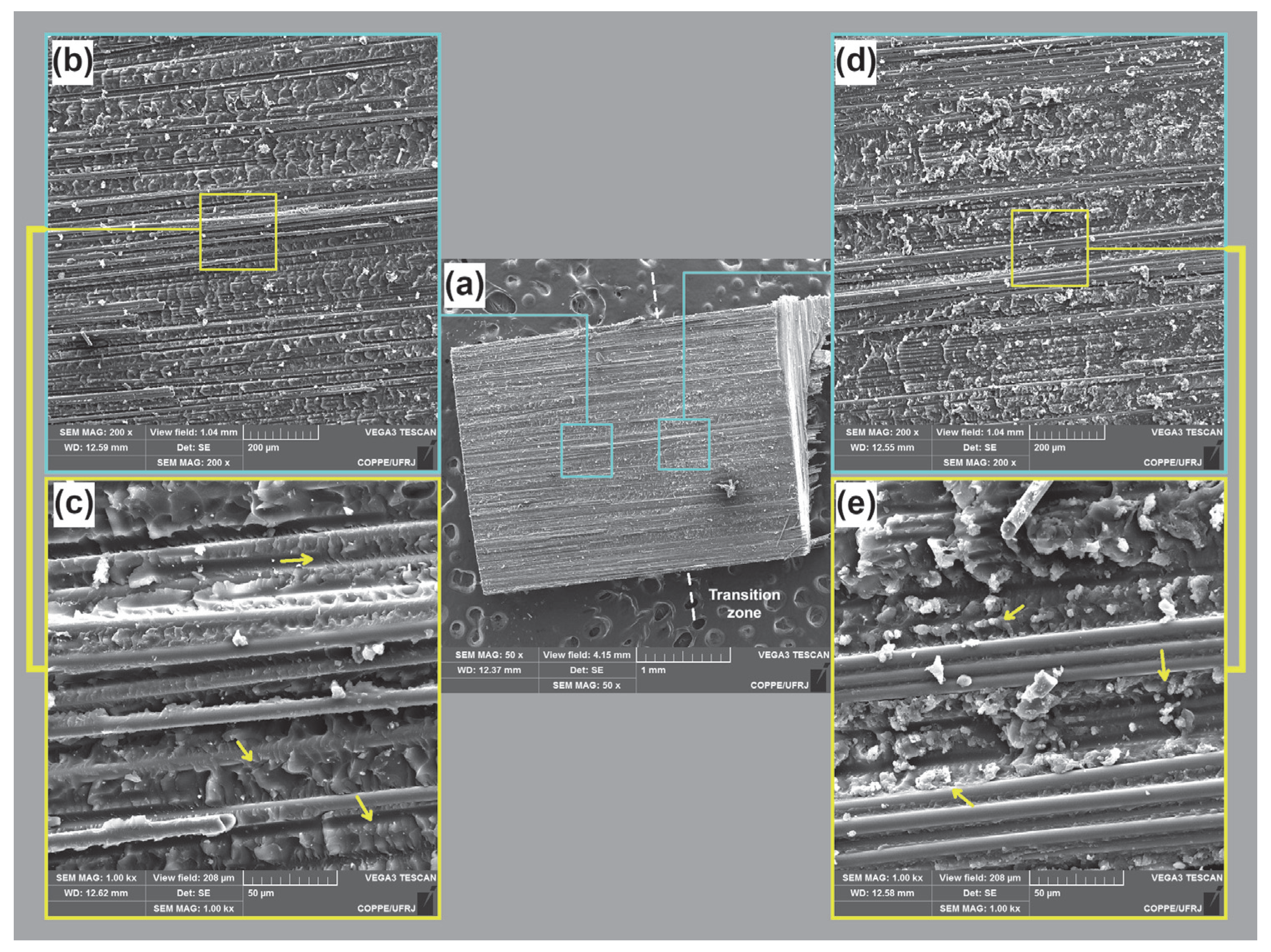 Fibers 13 00077 g009