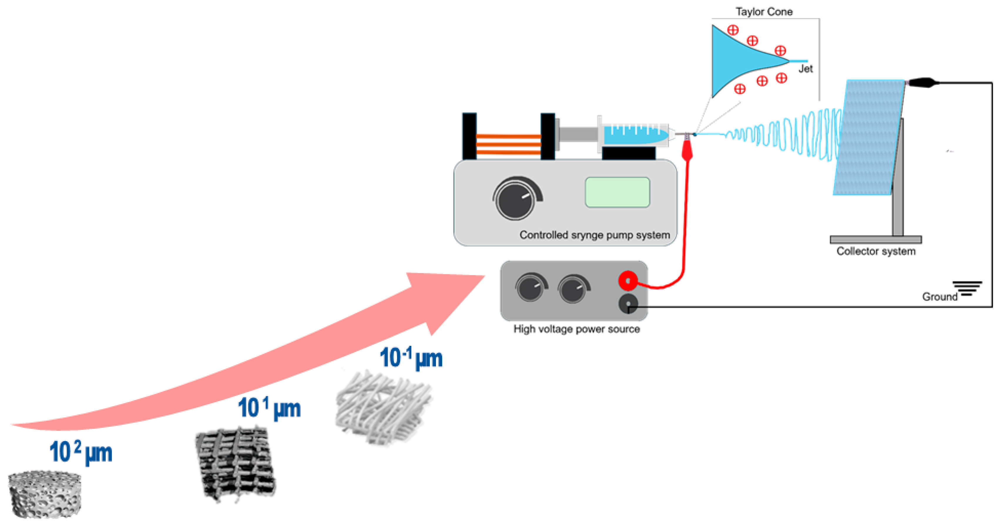 Fibers 13 00083 g001