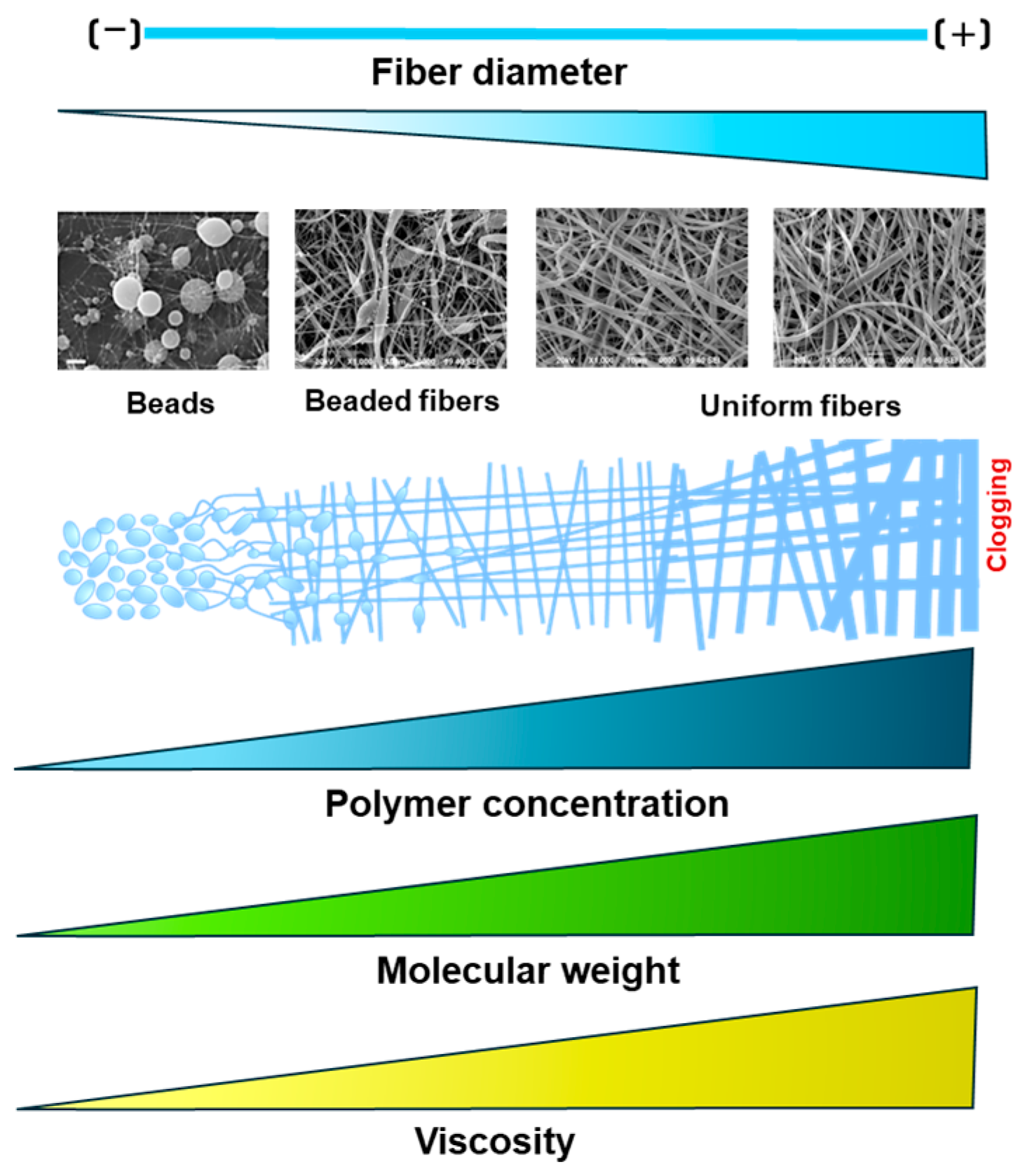 Fibers 13 00083 g002