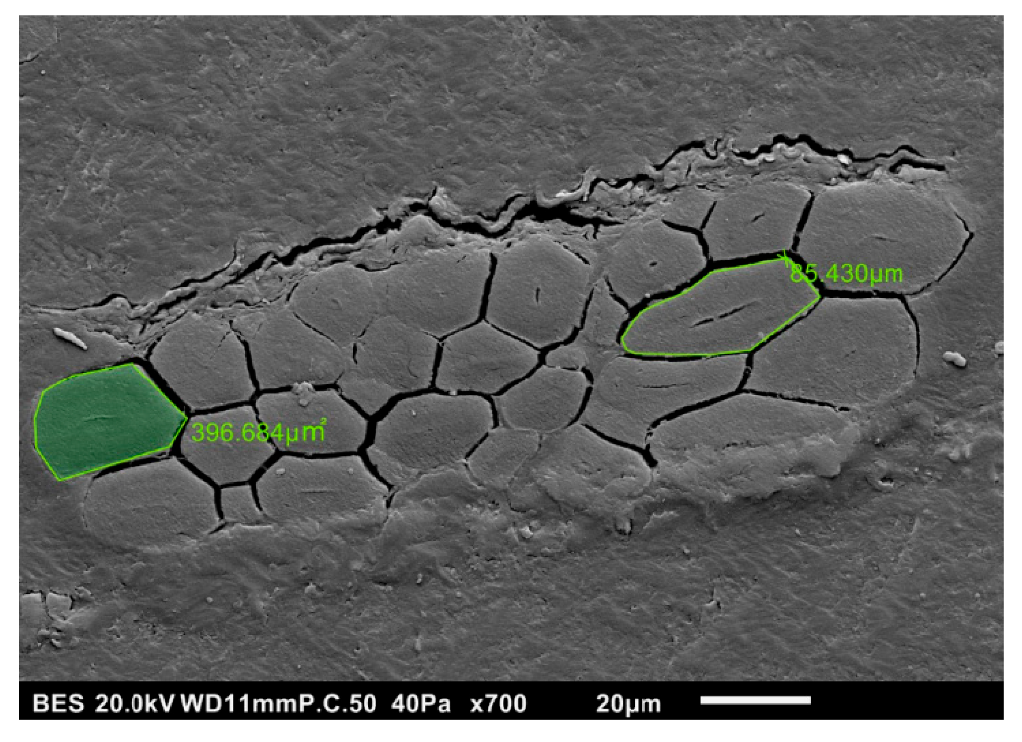 Fibers 13 00087 g008