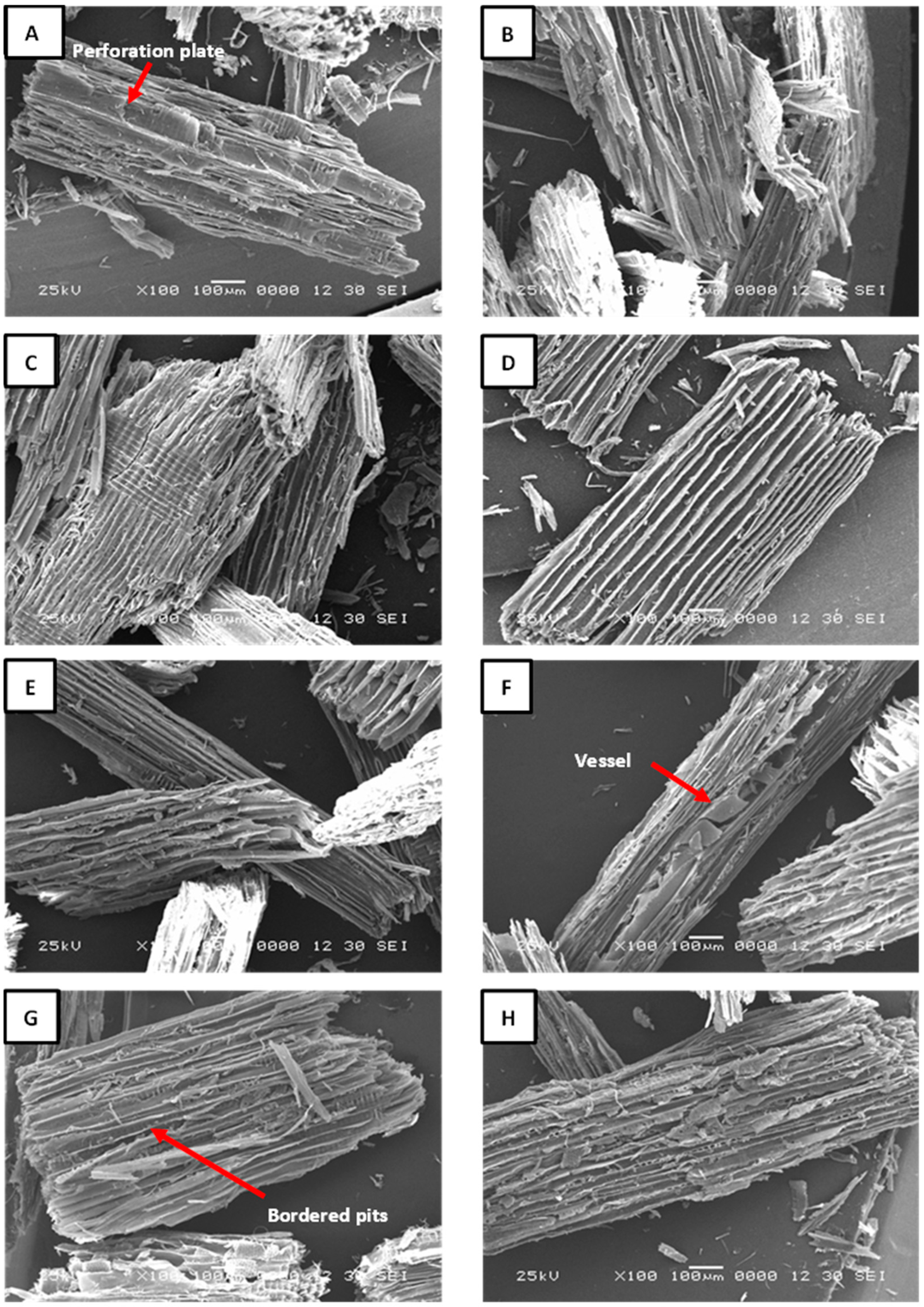 Fibers 13 00090 g004
