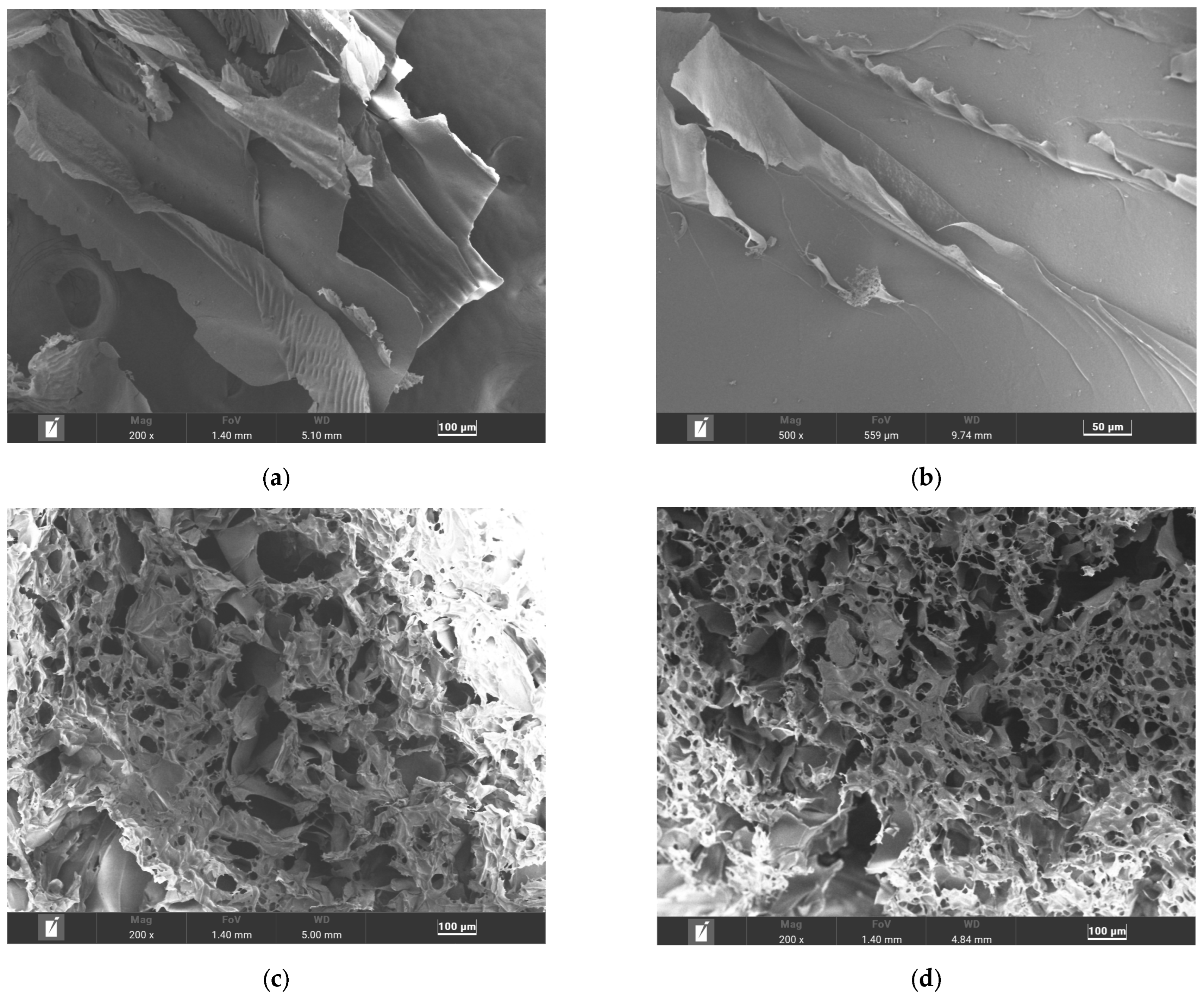 Fibers 13 00097 g004