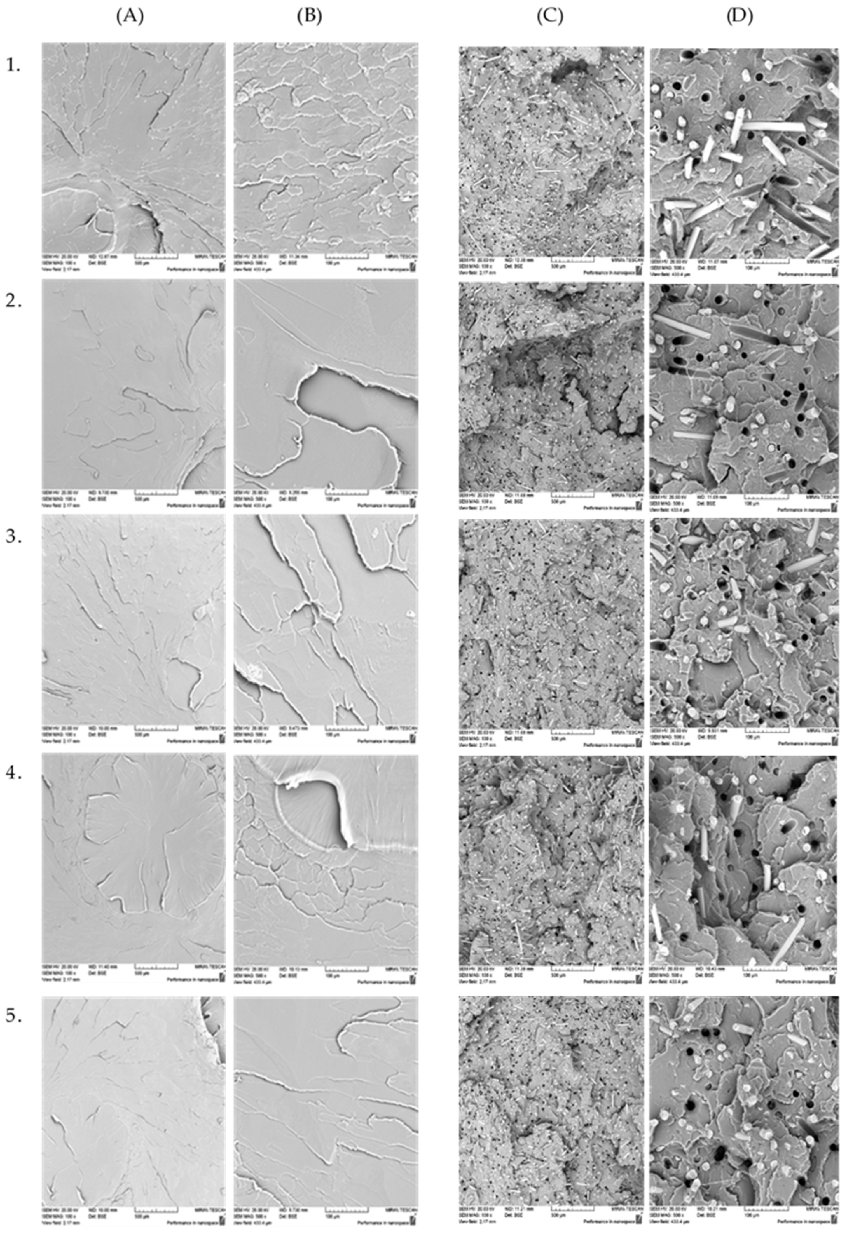 Fibers 13 00098 g004