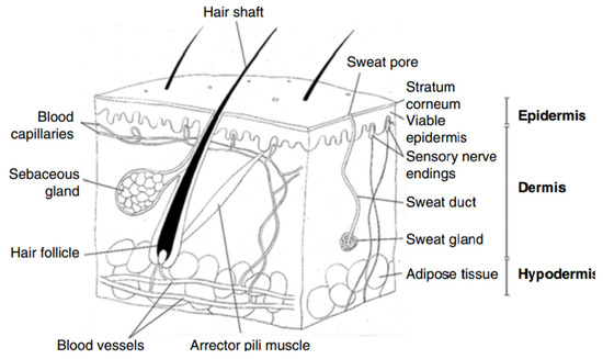 Multifunctional Fibers for Wound Dressings: A Review
