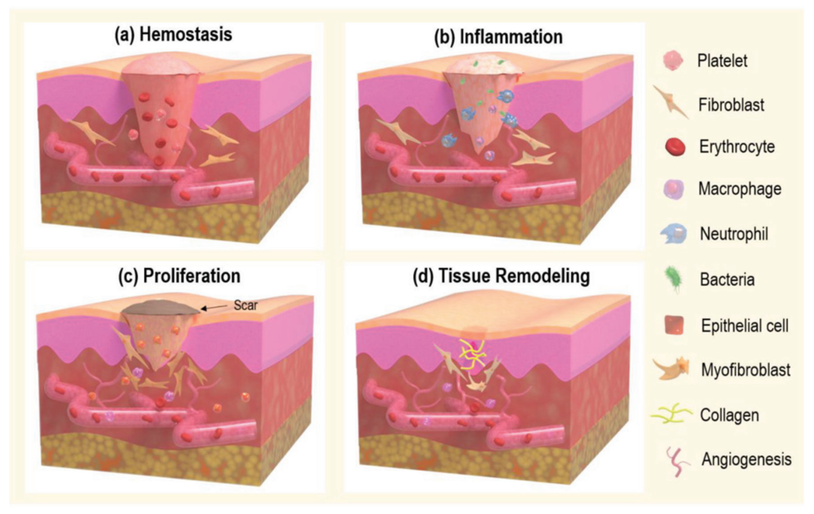 Fibers 13 00100 g003