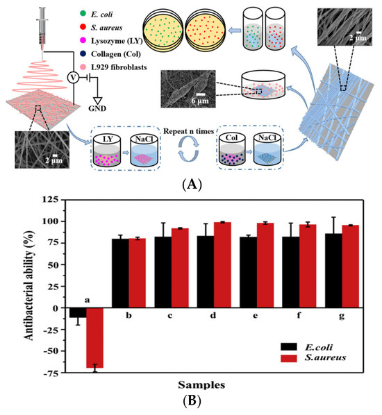 Multifunctional Fibers for Wound Dressings: A Review
