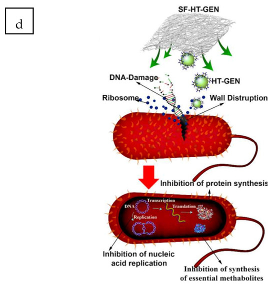 Multifunctional Fibers for Wound Dressings: A Review