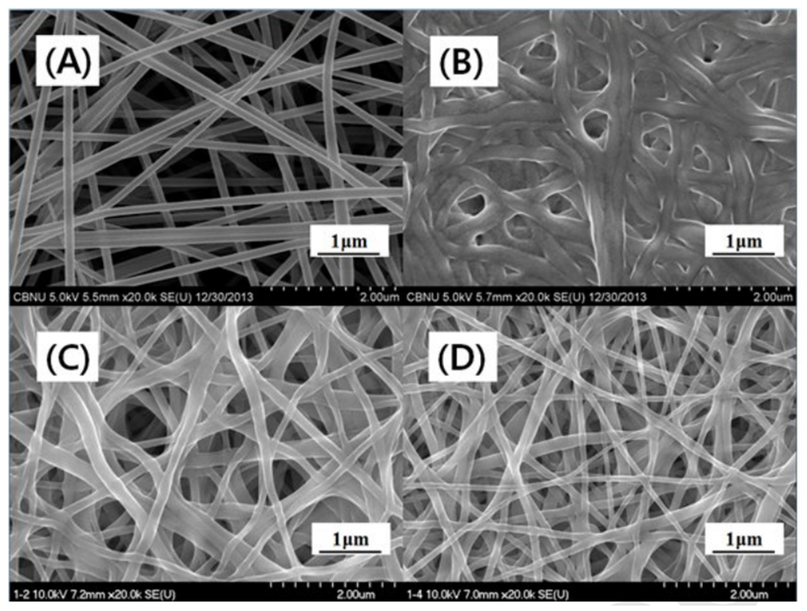 Fibers 13 00100 g014