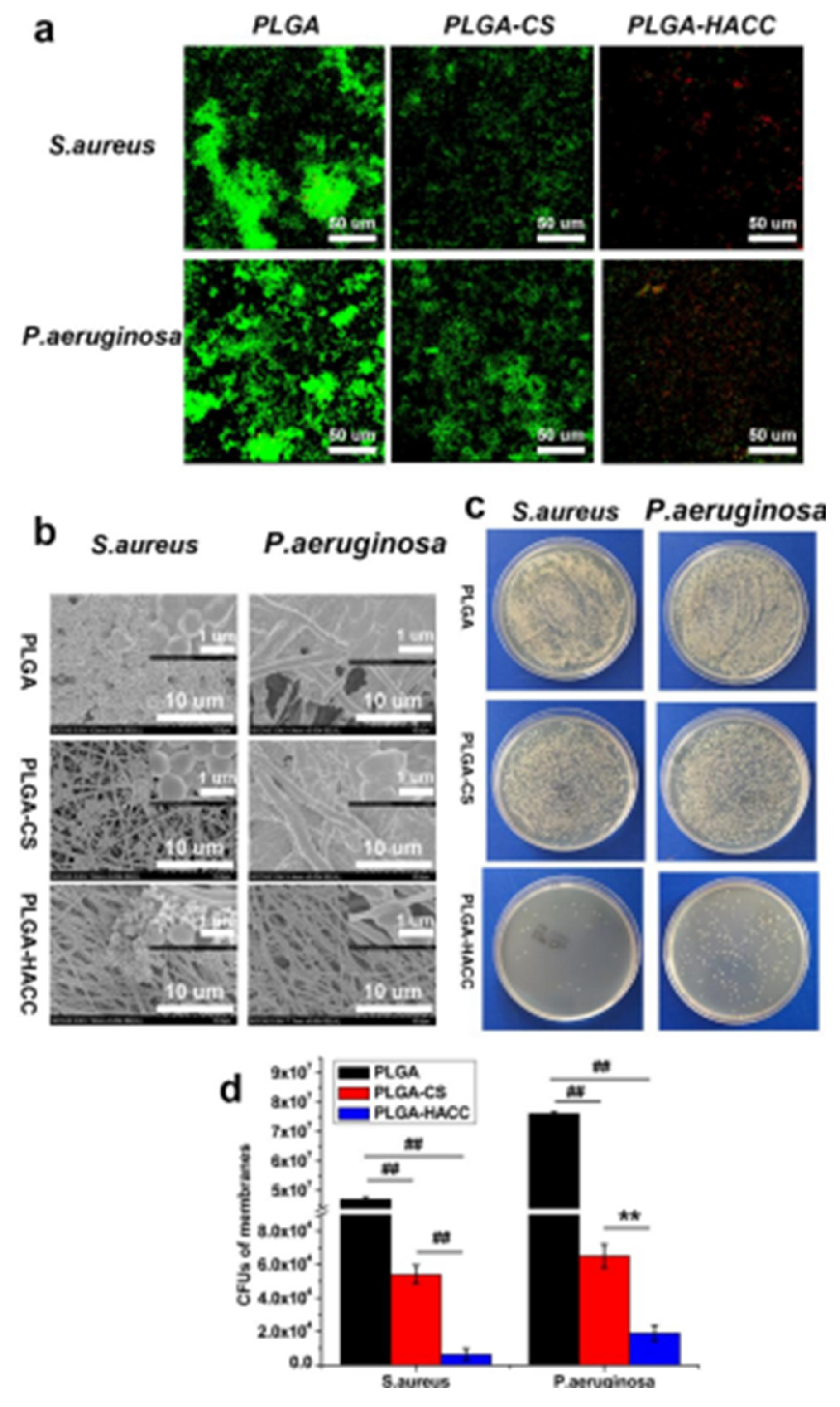Fibers 13 00100 g015