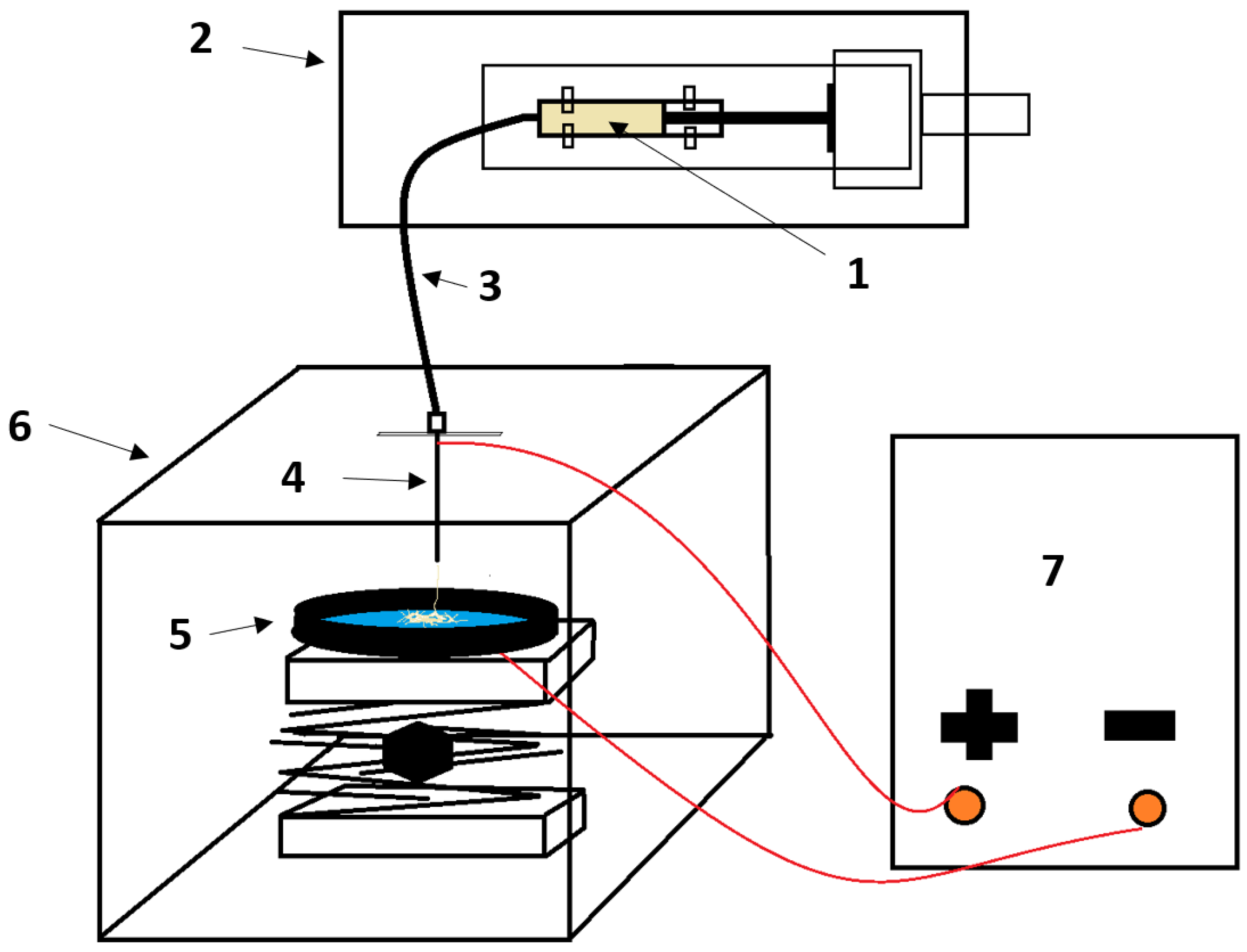 Fibers 13 00102 g001
