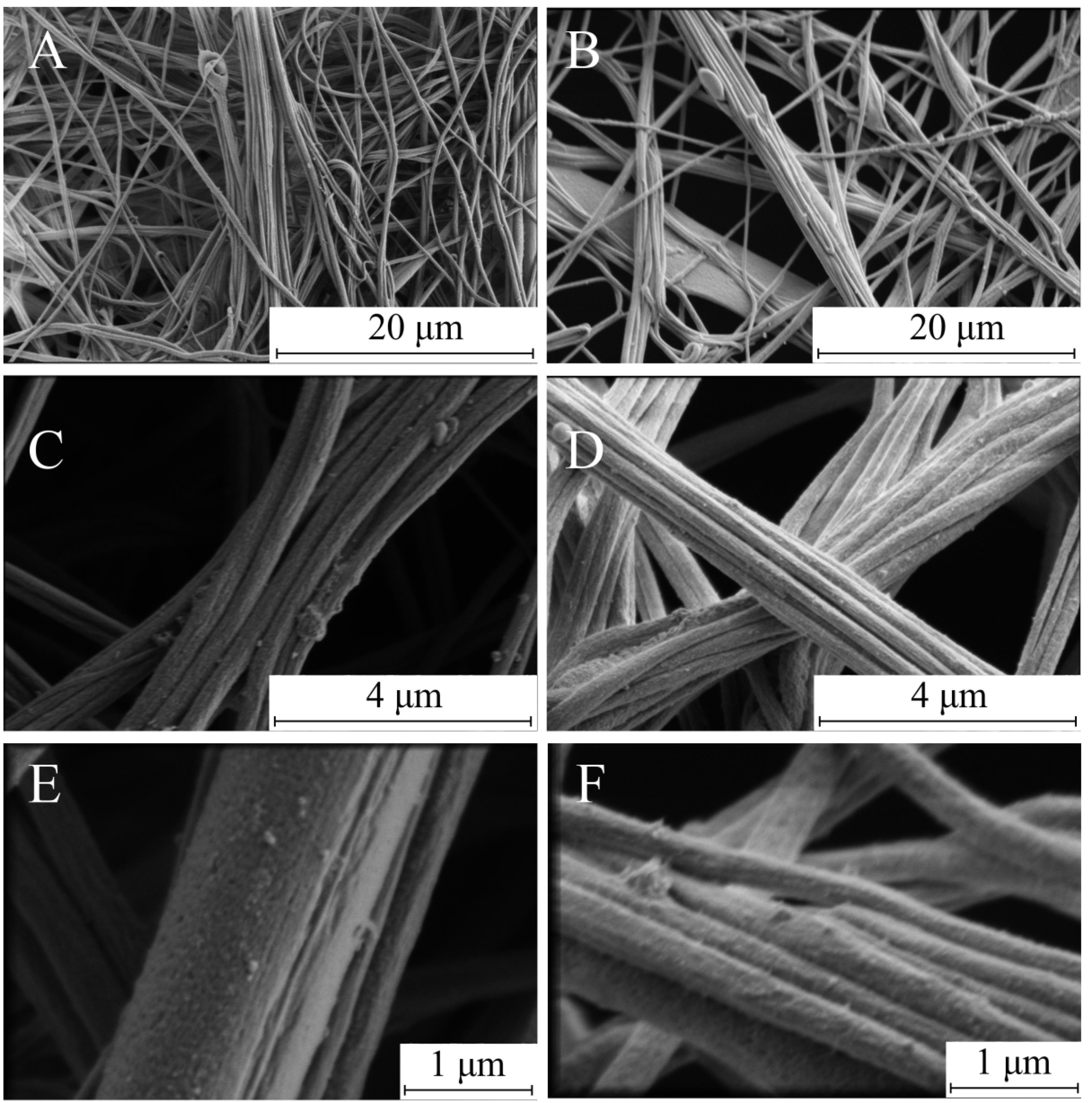 Fibers 13 00102 g003