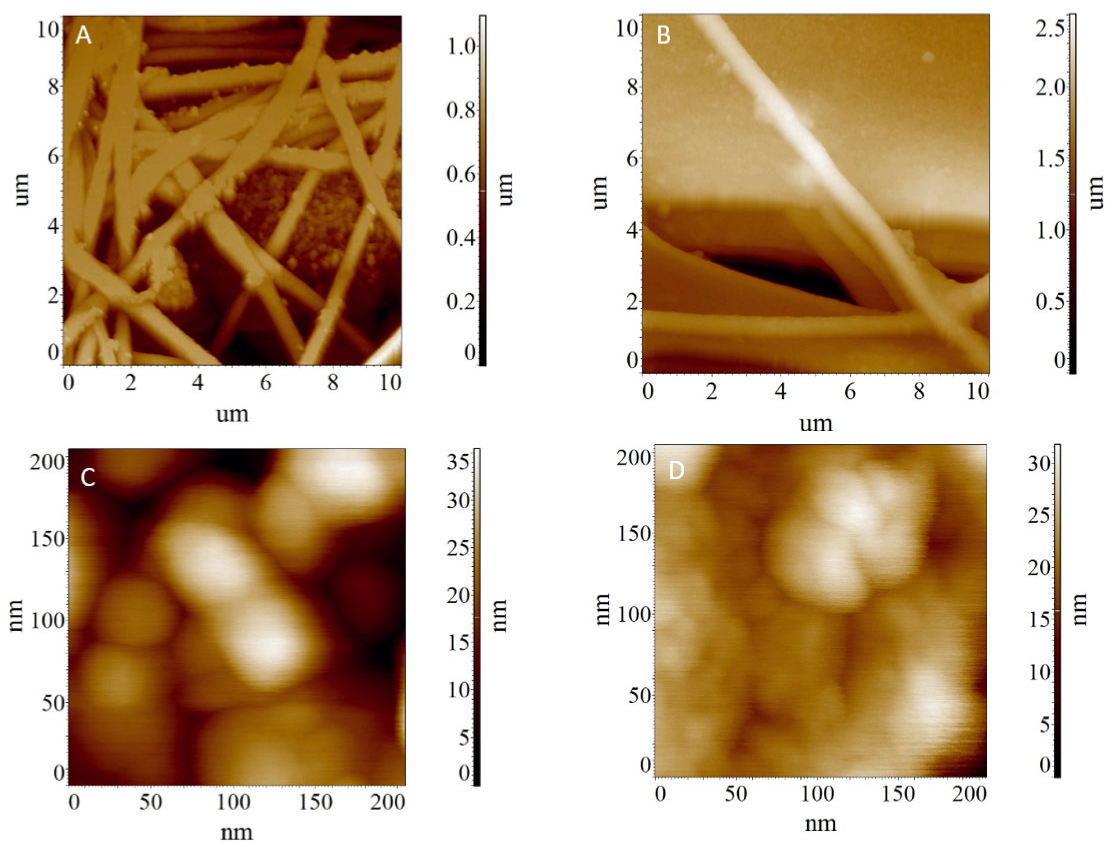 Fibers 13 00102 g006