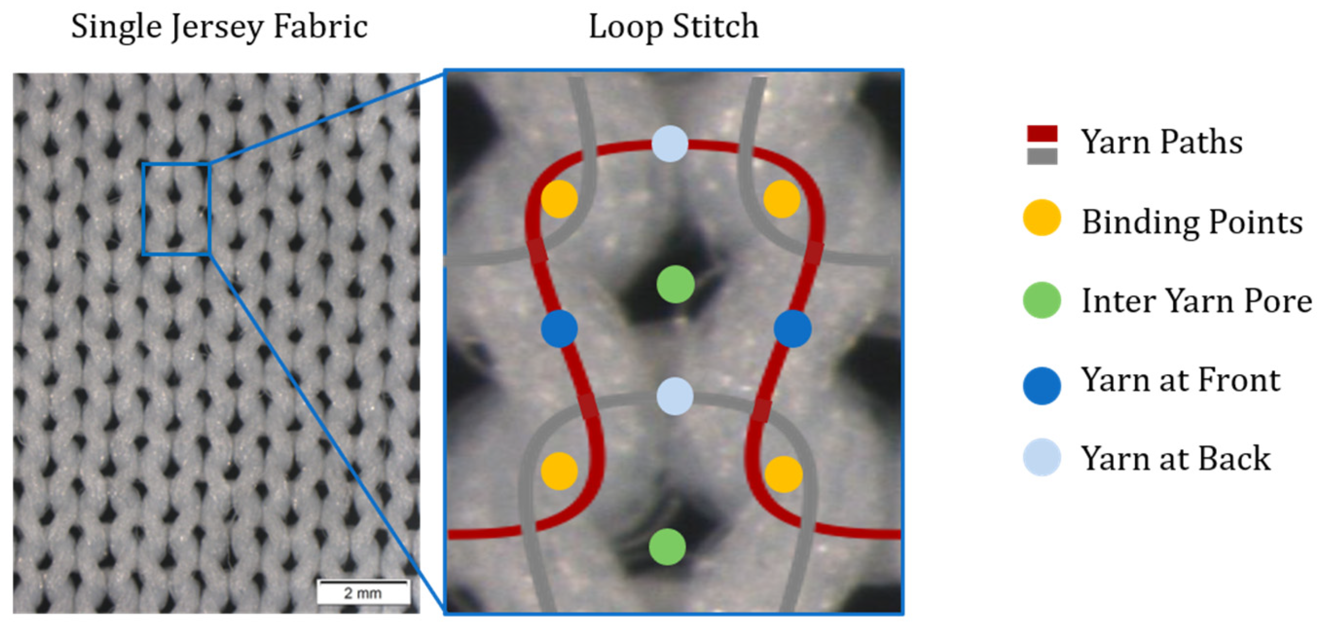 Fibers 13 00103 g001