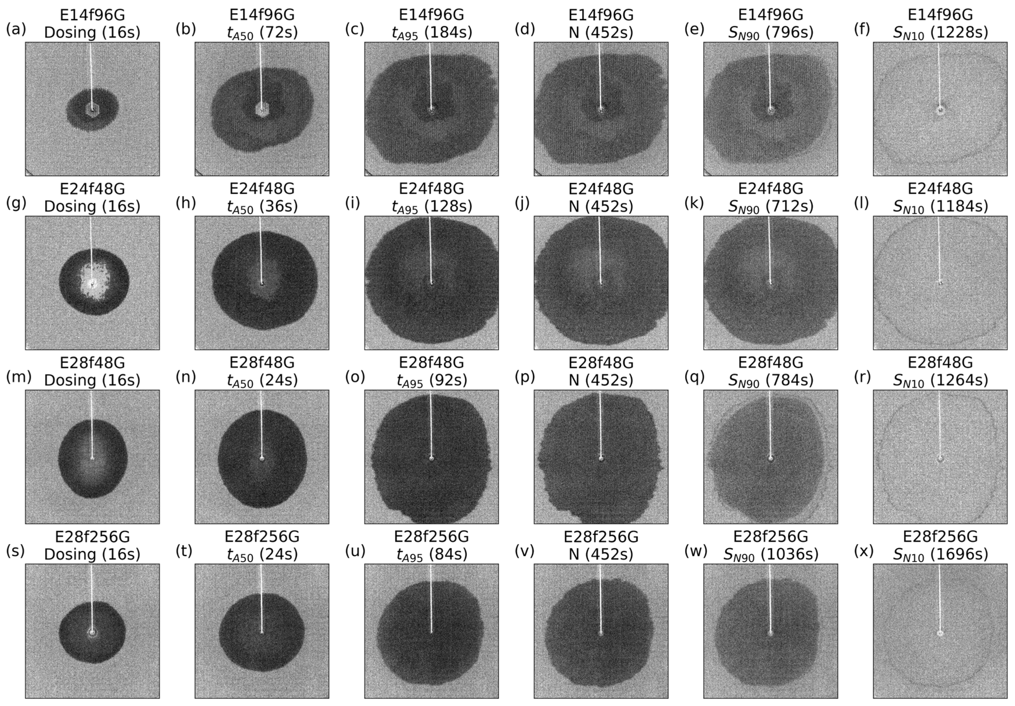 Fibers 13 00103 g008