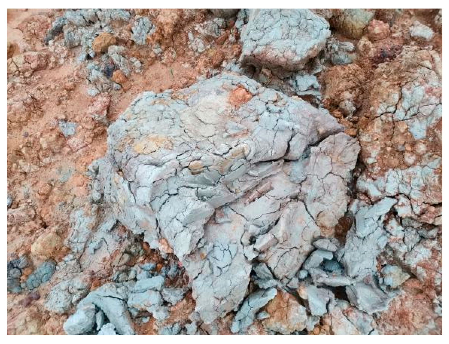 Fibers 13 00104 g001