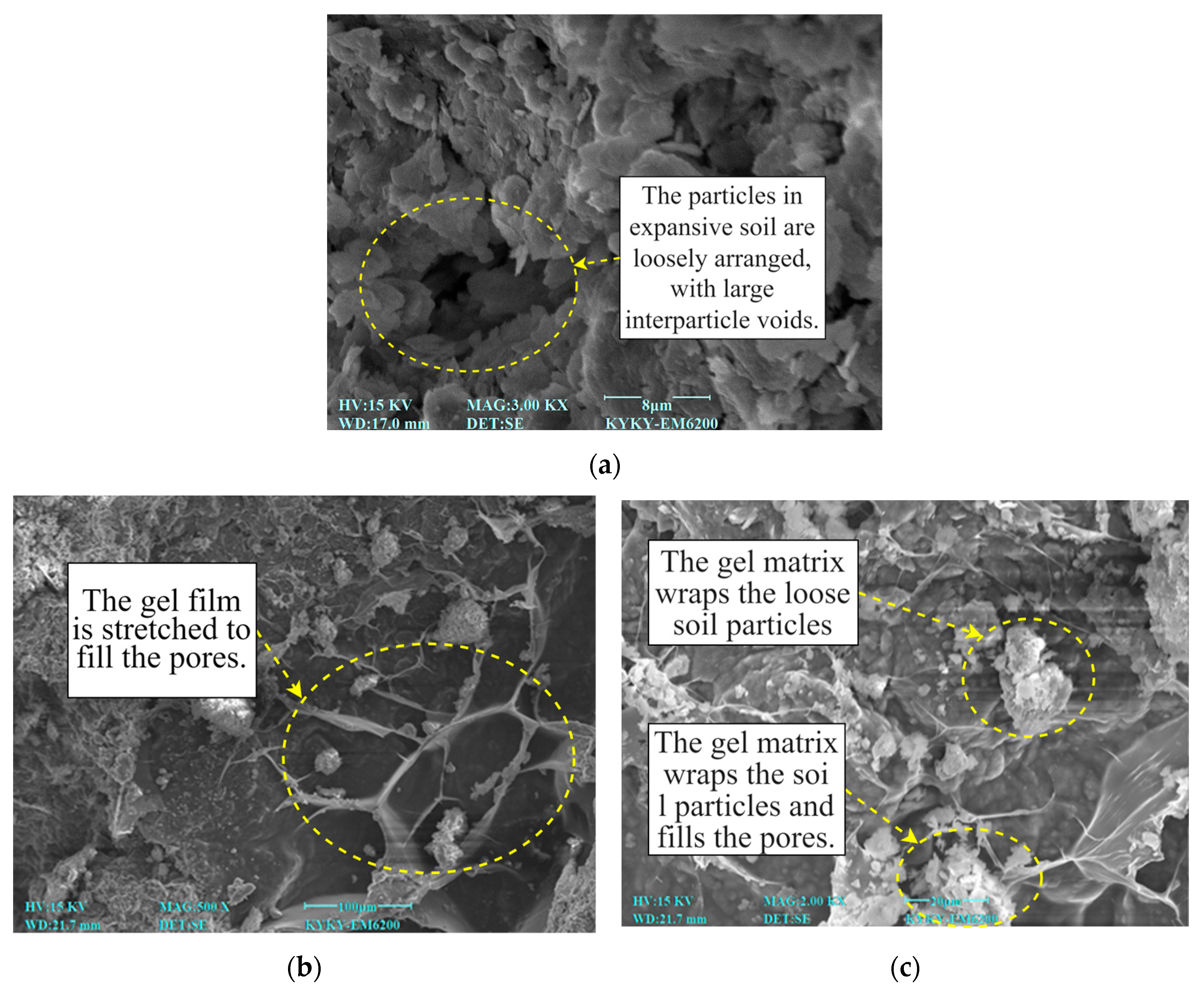 Fibers 13 00104 g014
