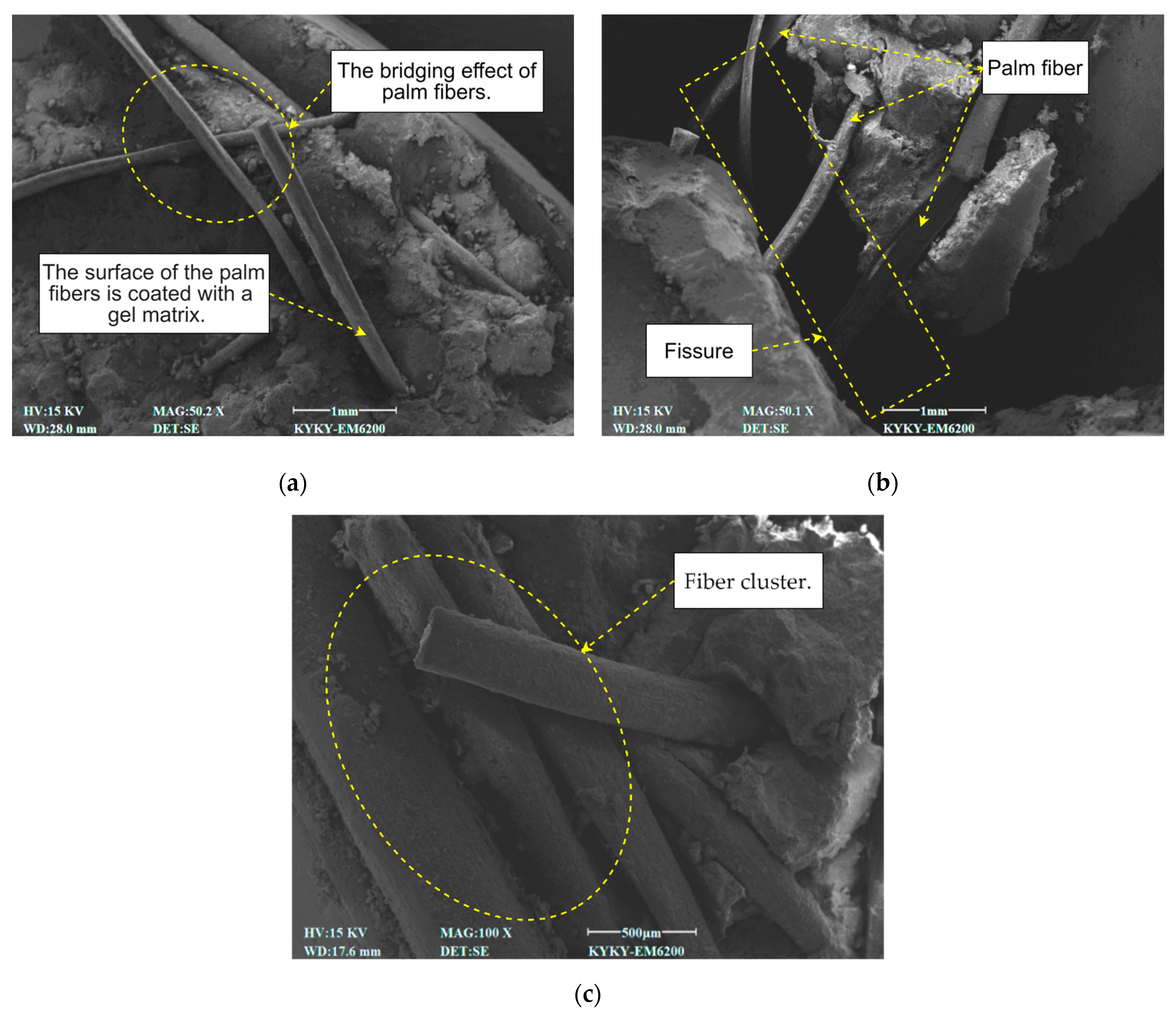 Fibers 13 00104 g015