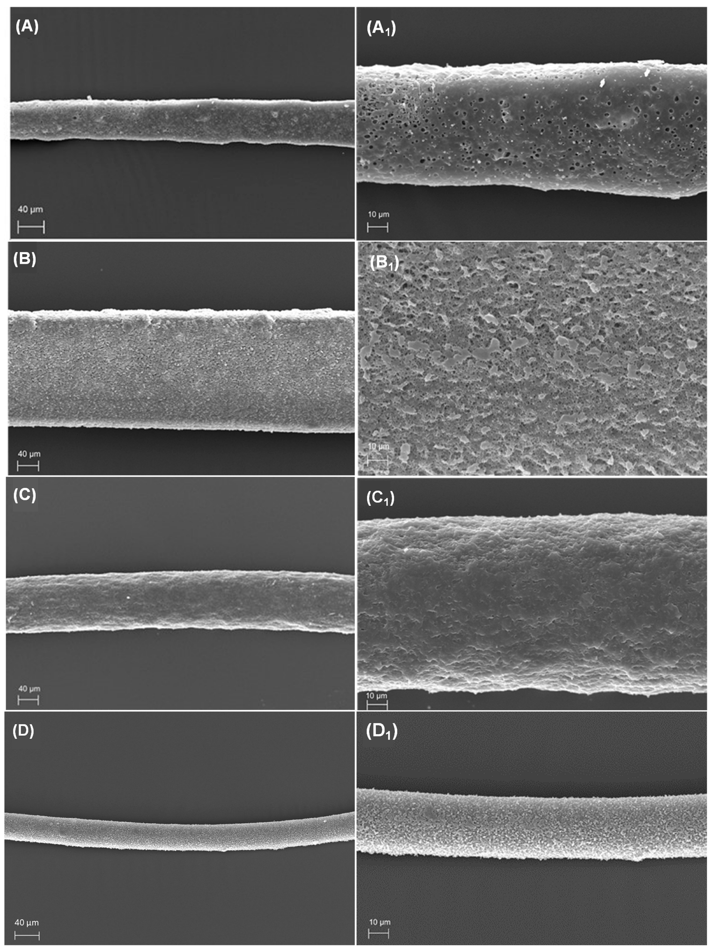 Fibers 13 00111 g001a
