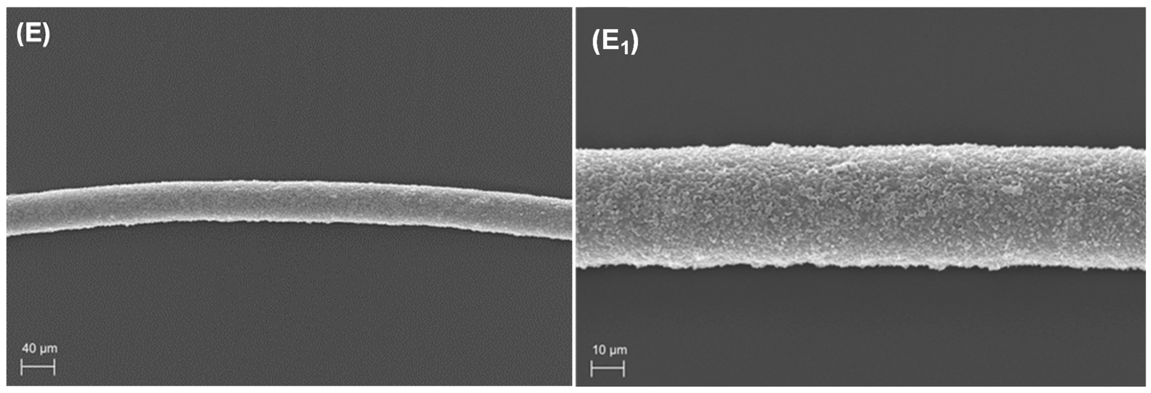 Fibers 13 00111 g001b