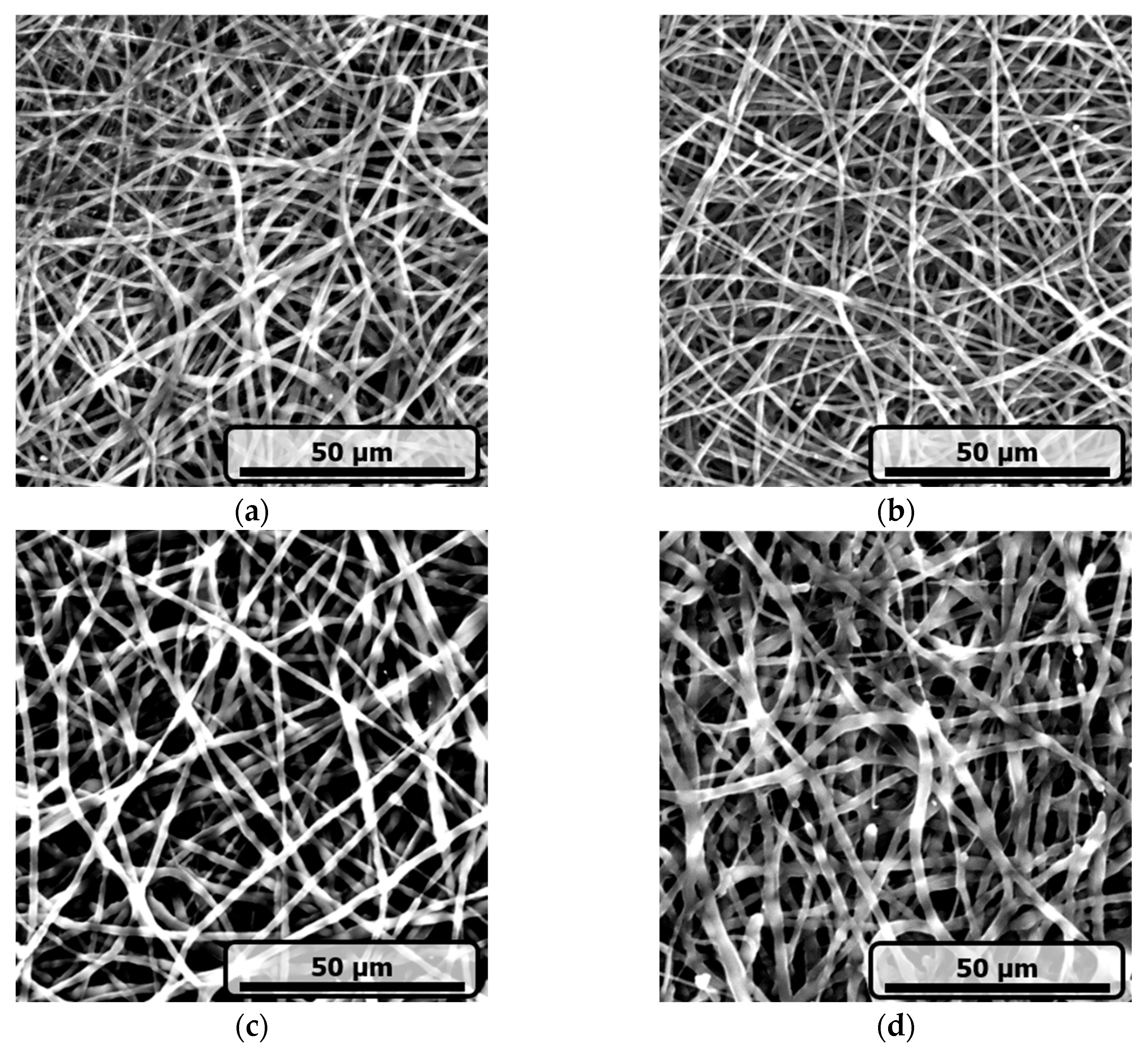 Fibers 13 00116 g001
