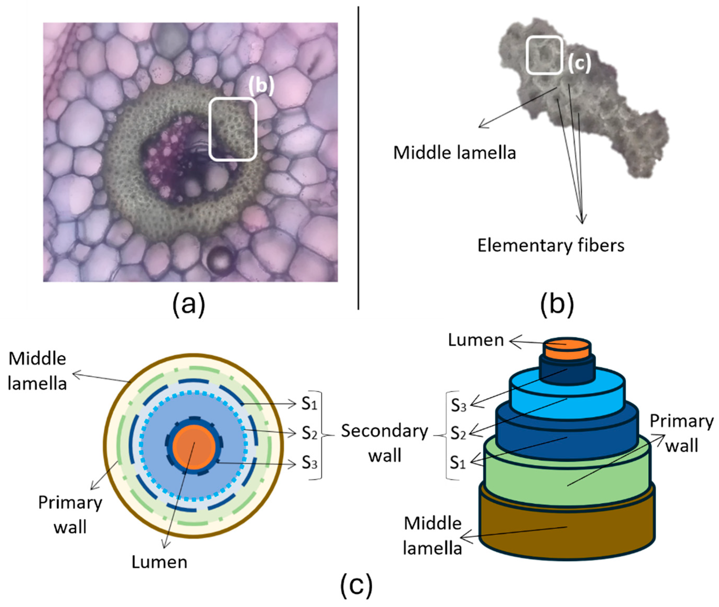 Fibers 13 00119 g002 Fibers 13 00119 g002