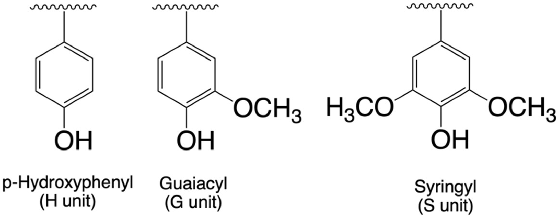Fibers 13 00129 g001