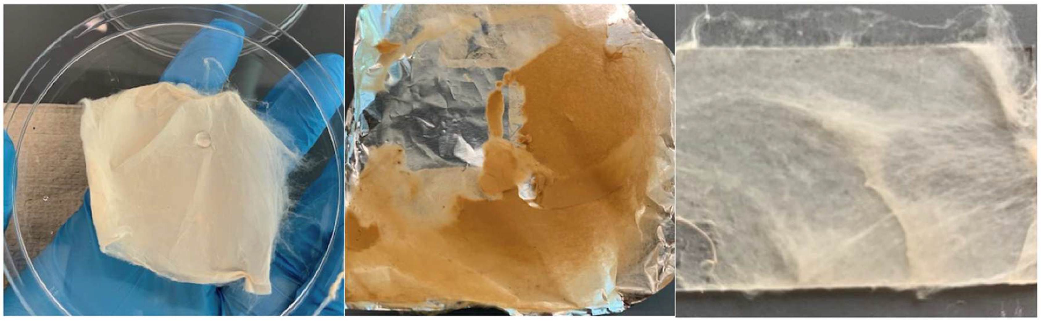 Fibers 13 00129 g005