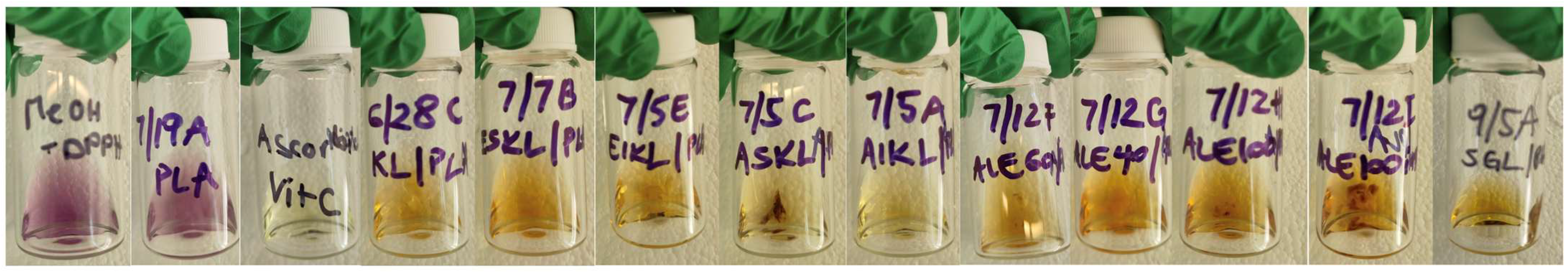 Fibers 13 00129 g010