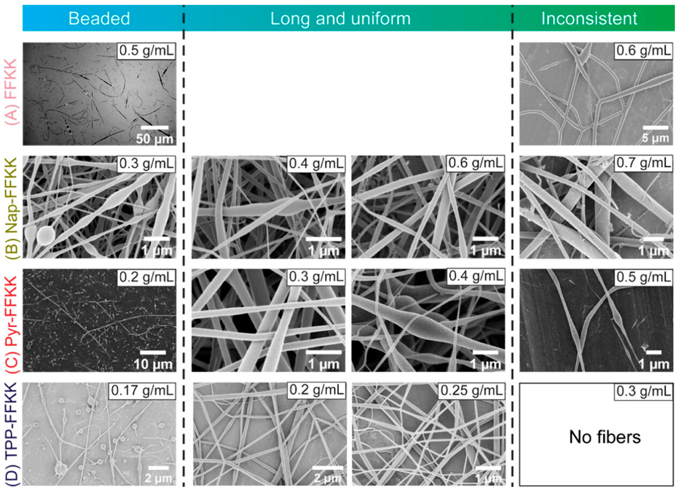 Fibers 13 00130 g002