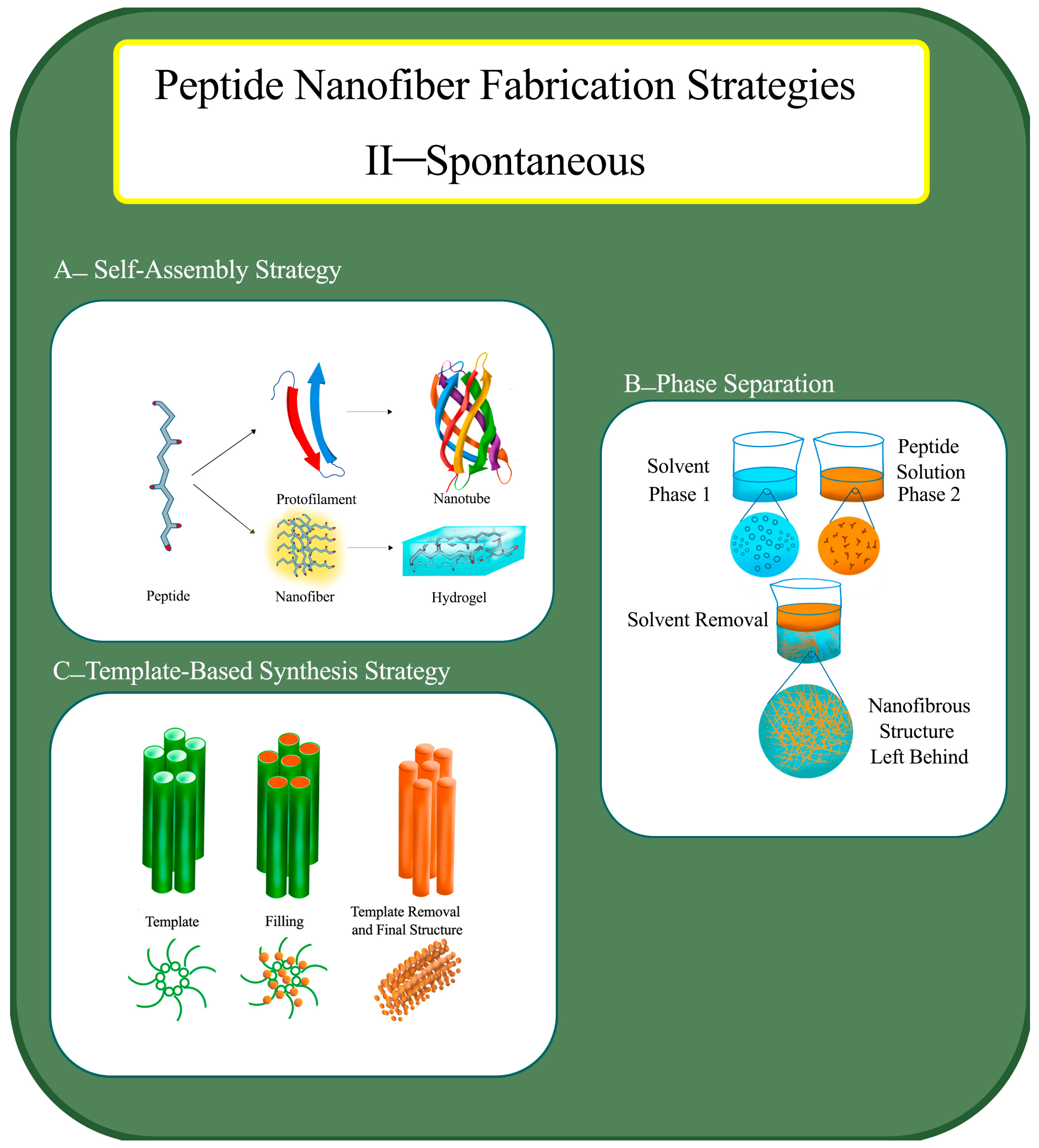 Fibers 13 00130 g003