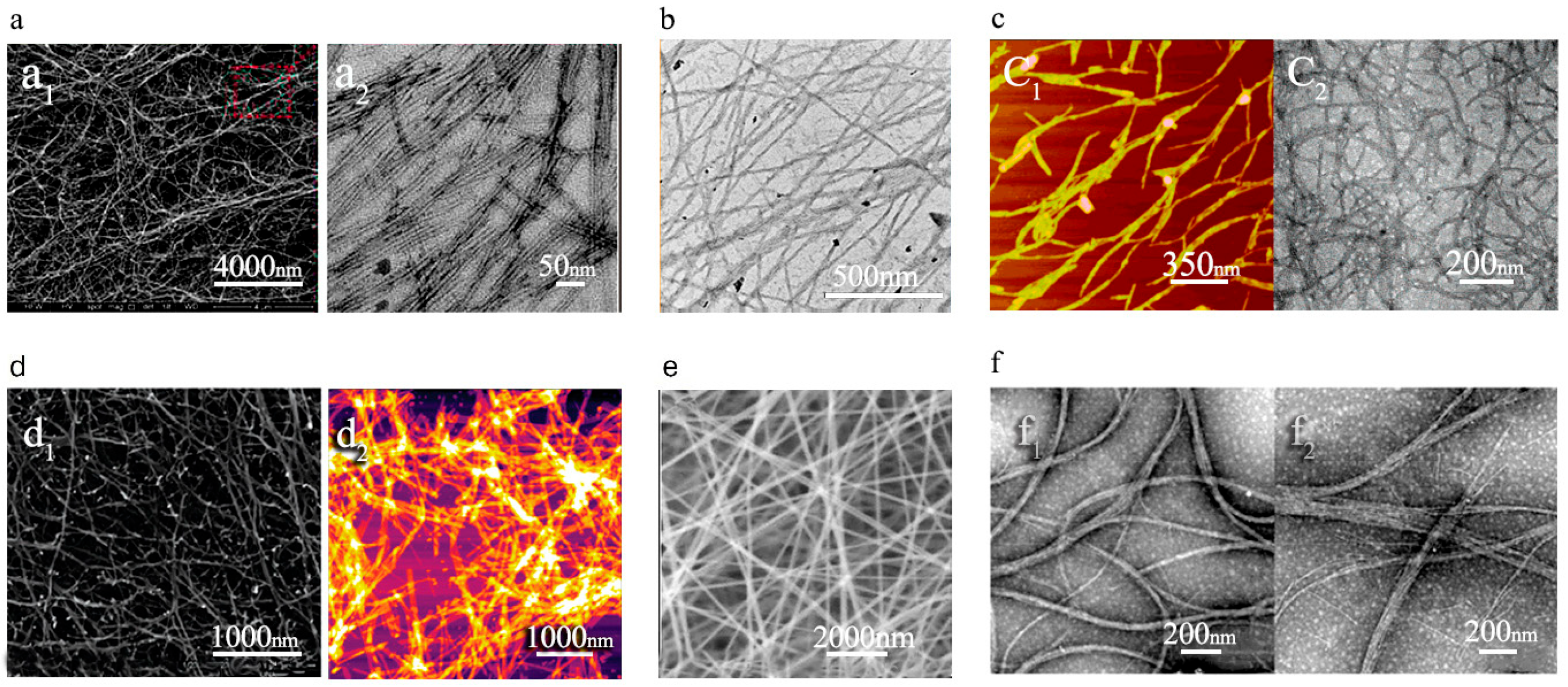 Fibers 13 00130 g005