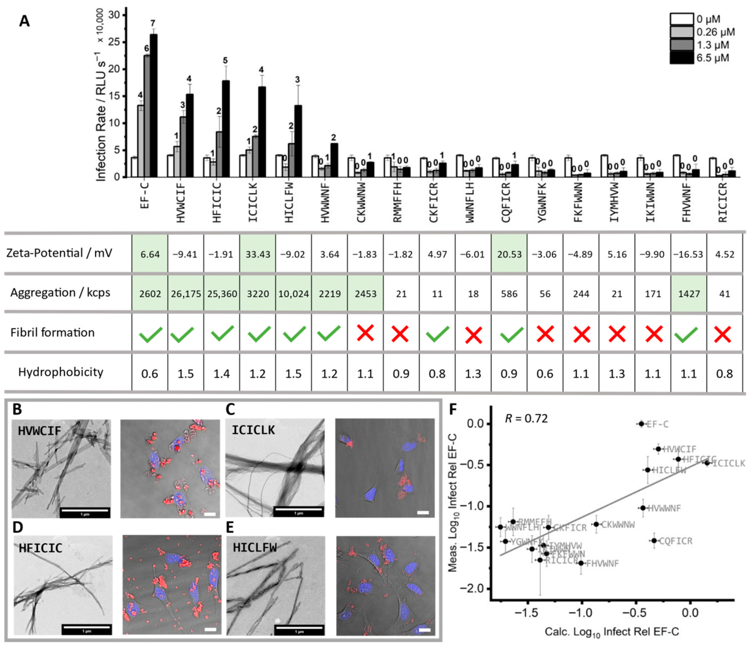 Fibers 13 00130 g006
