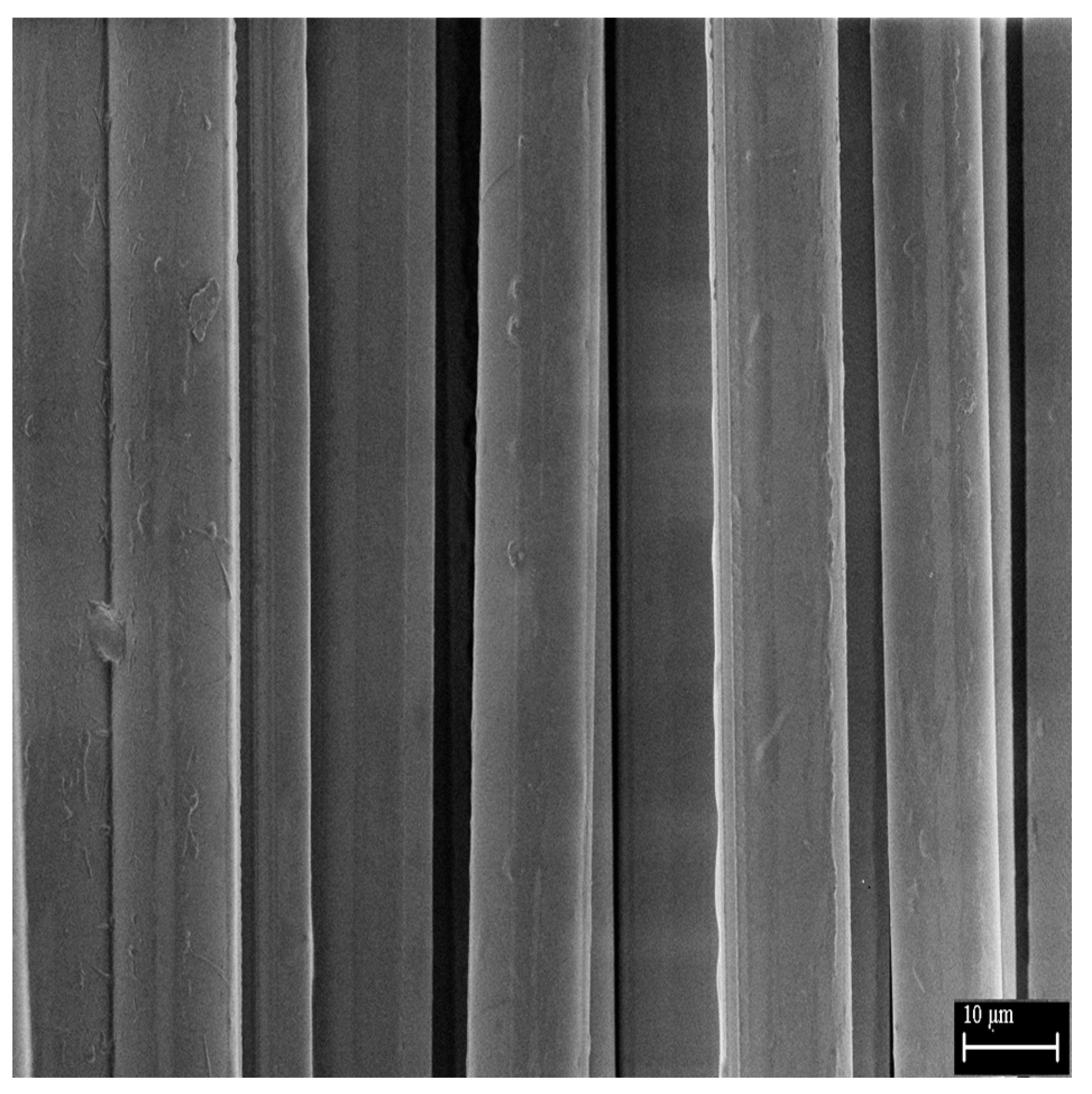 Fibers 13 00137 g006