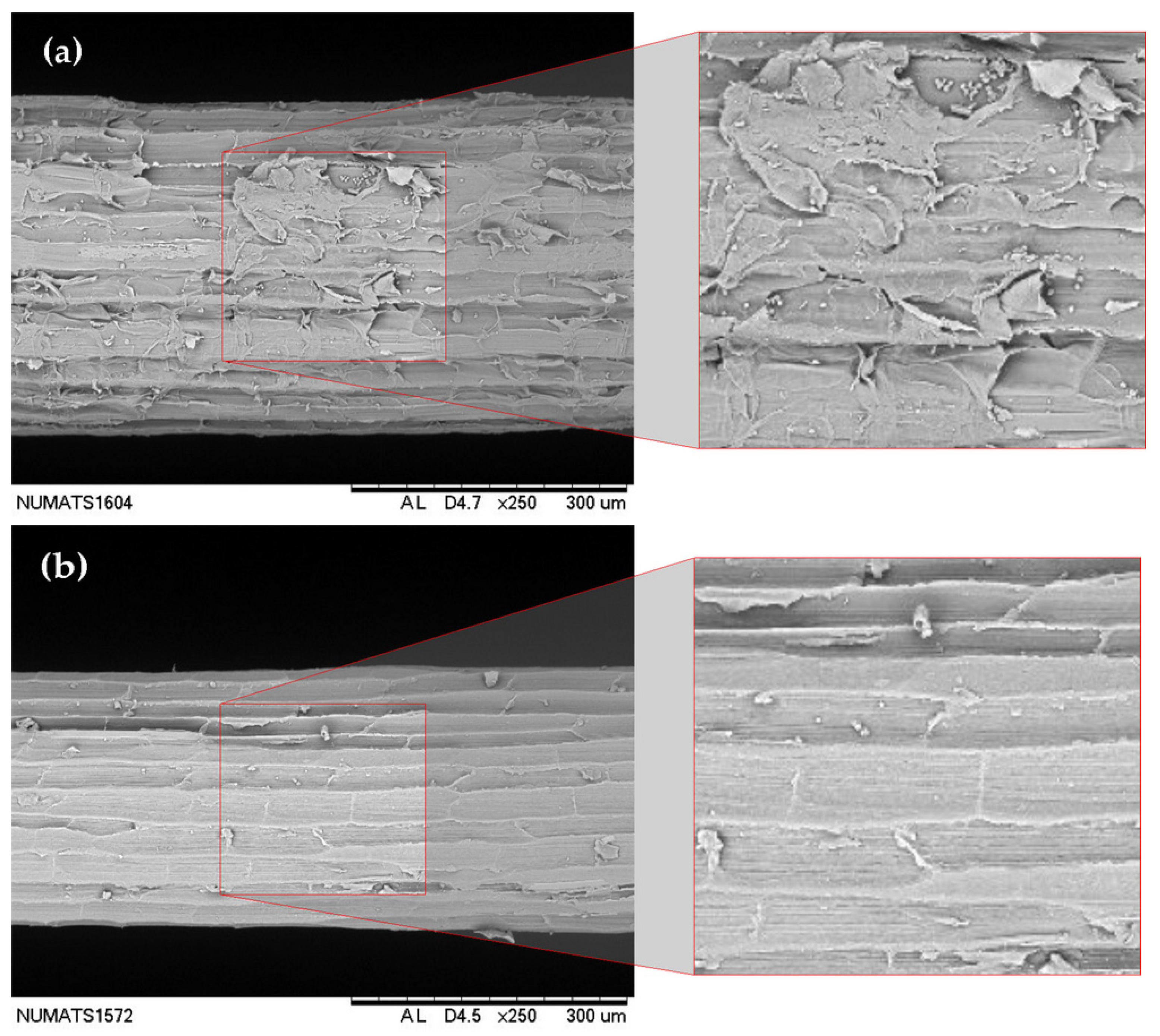 Fibers 13 00138 g003a